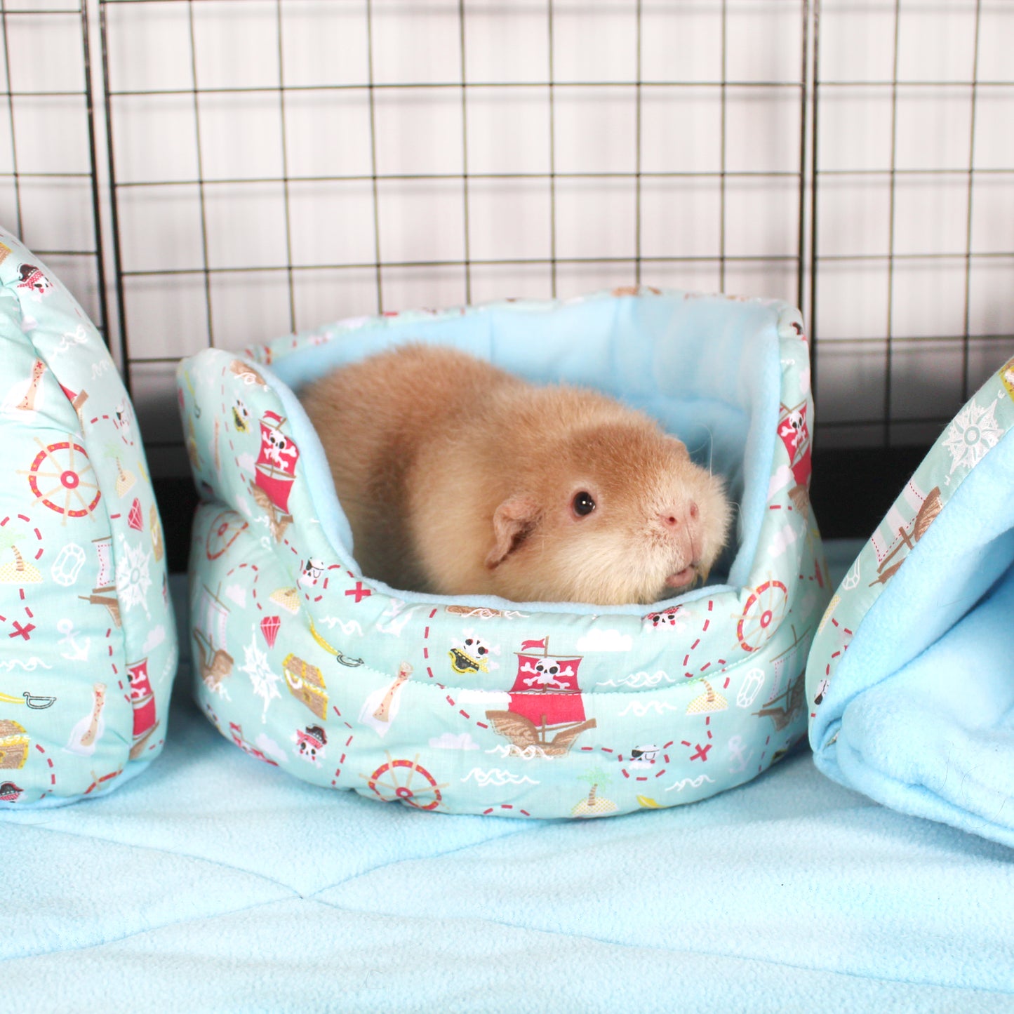 Pirate Themed Guinea Pig Accessory Bundle, cuddle cup with a happy guinea pig inside