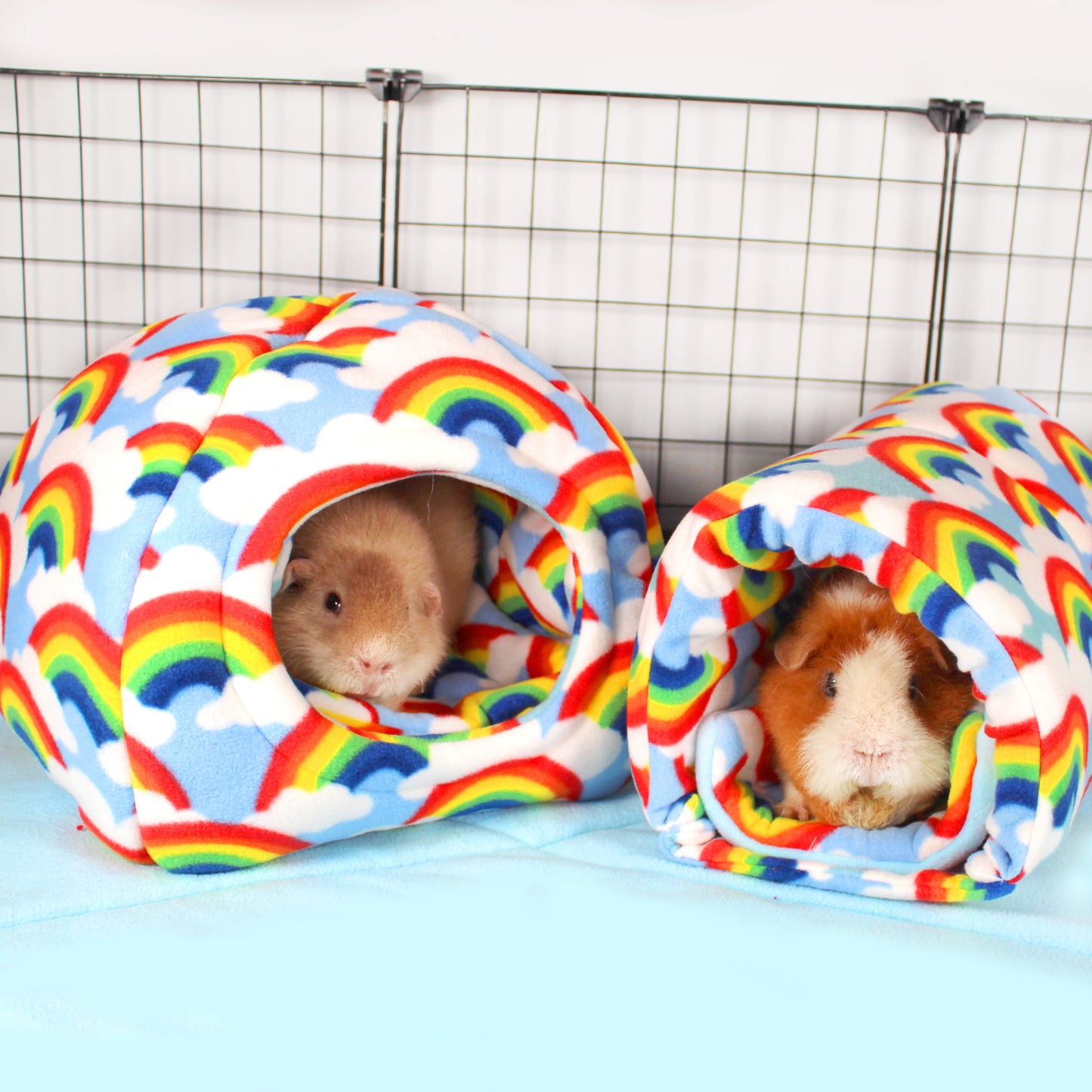 Rainbow Guinea Pig Accessory Bundle