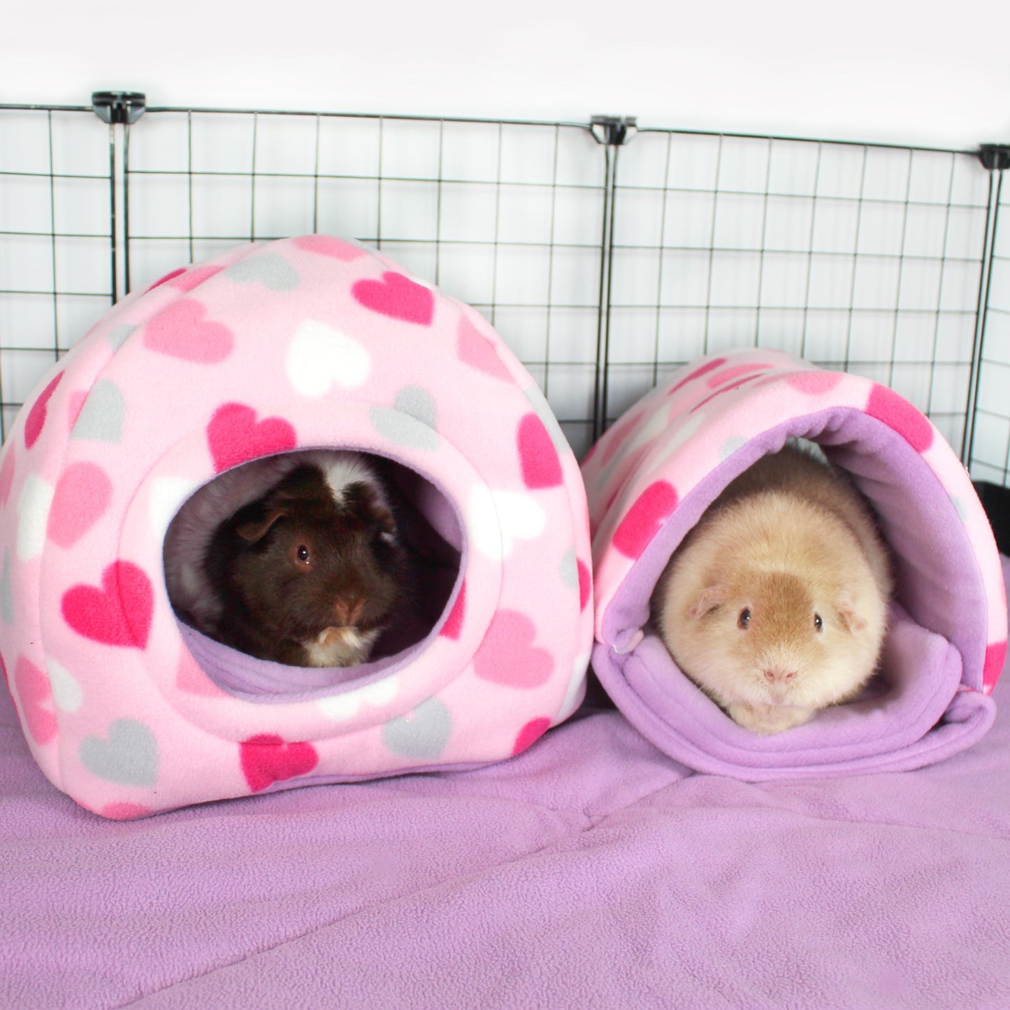 Pastel Heart Guinea Pig Accessory Bundle