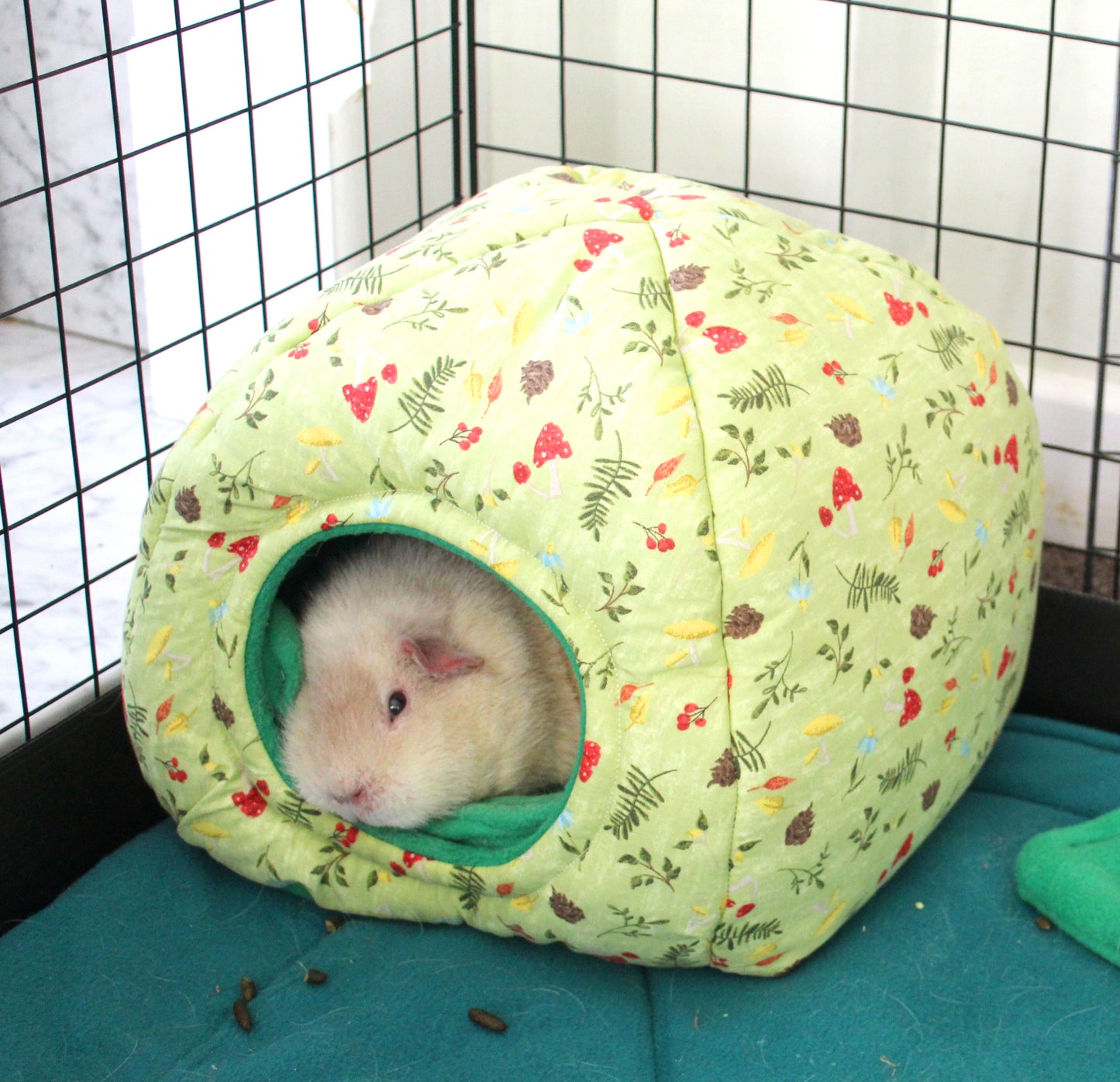 Green Mushroom Guinea Pig Accessory Set