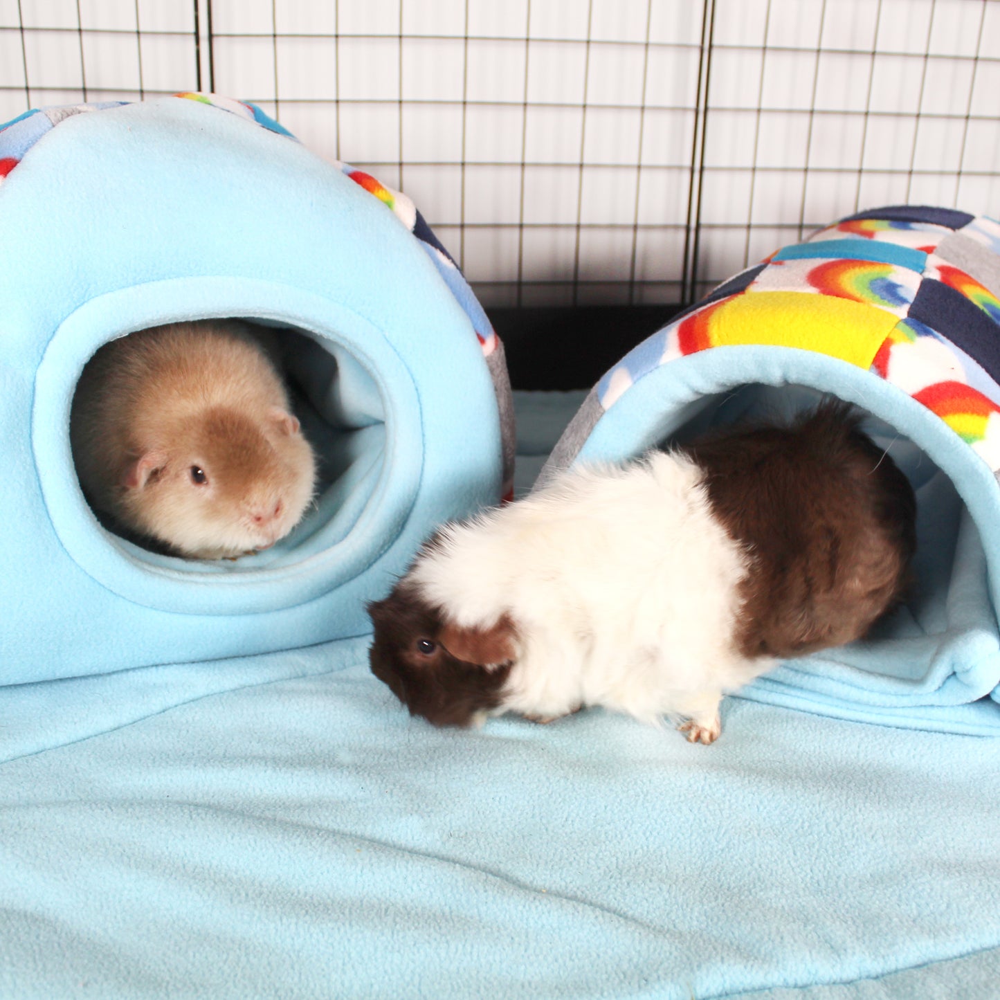 Patchwork Blue Rainbow Guinea Pig Accessory Bundle