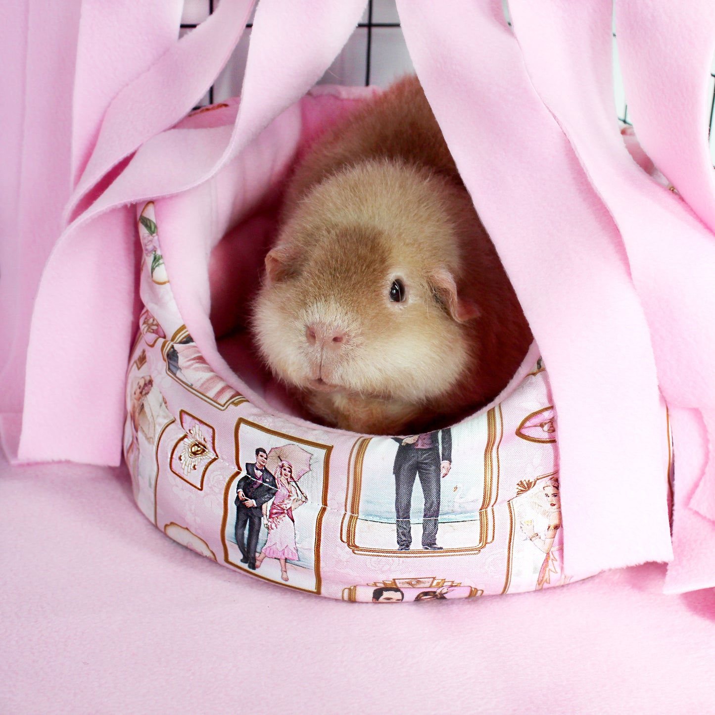 Pink Art Deco Cuddle Cup Bed
