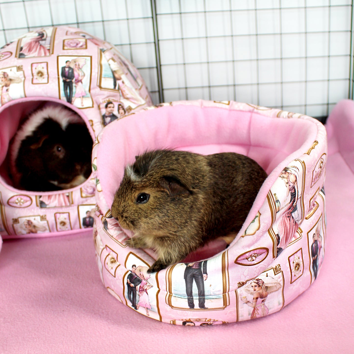 Pink Art Deco Guinea Pig Accessory Bundle