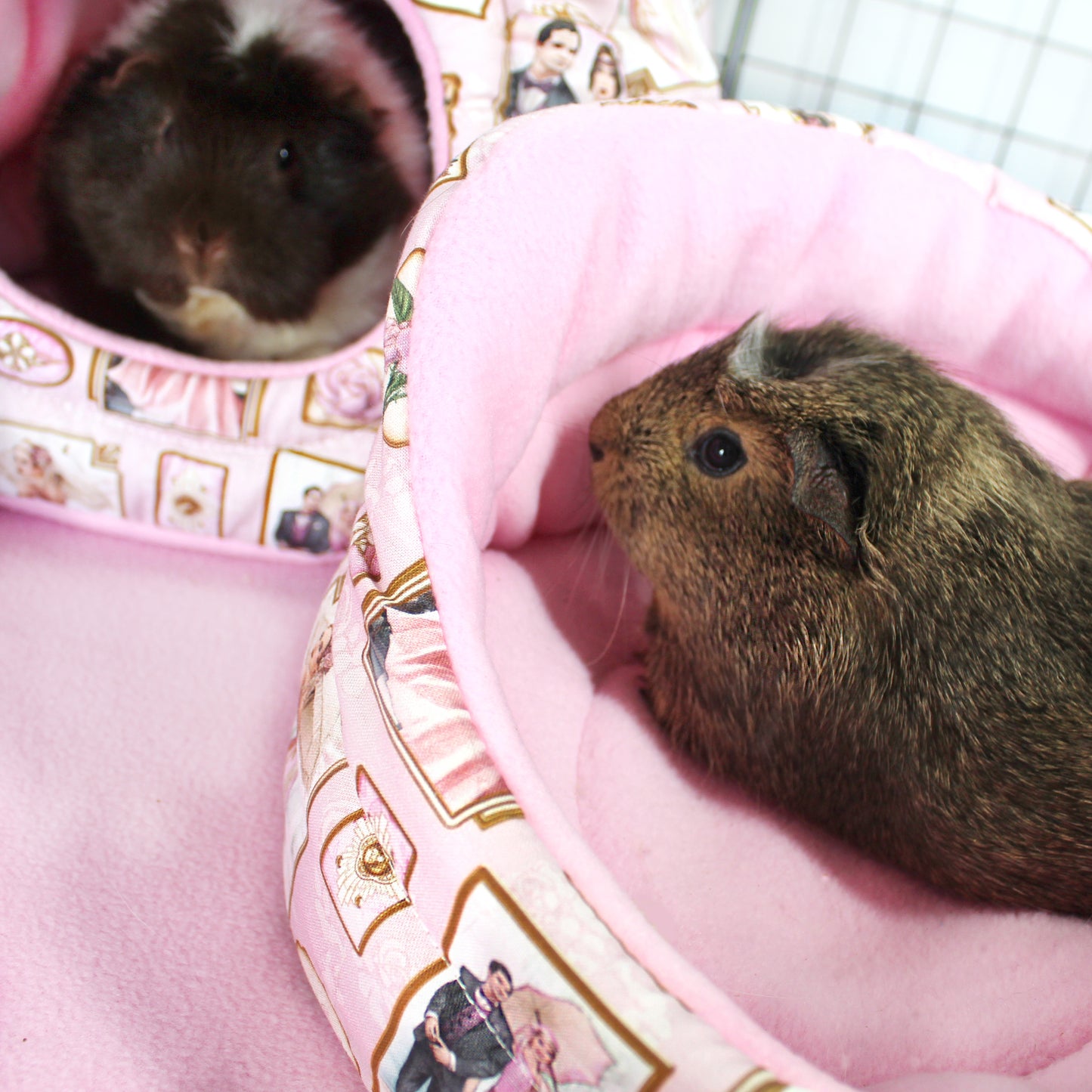 Pink Art Deco Guinea Pig Accessory Bundle