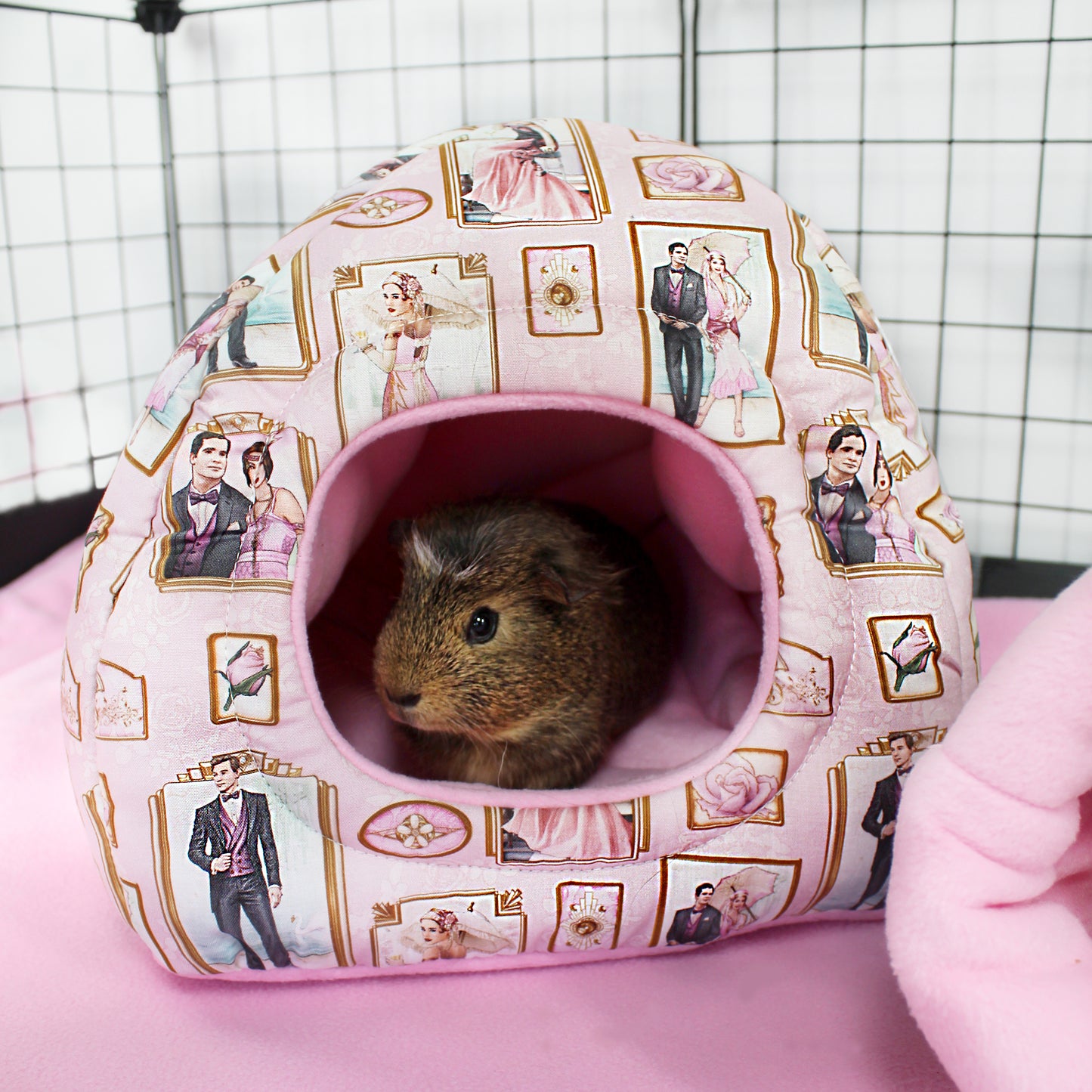 Pink Art Deco Hidey House for Guinea Pigs