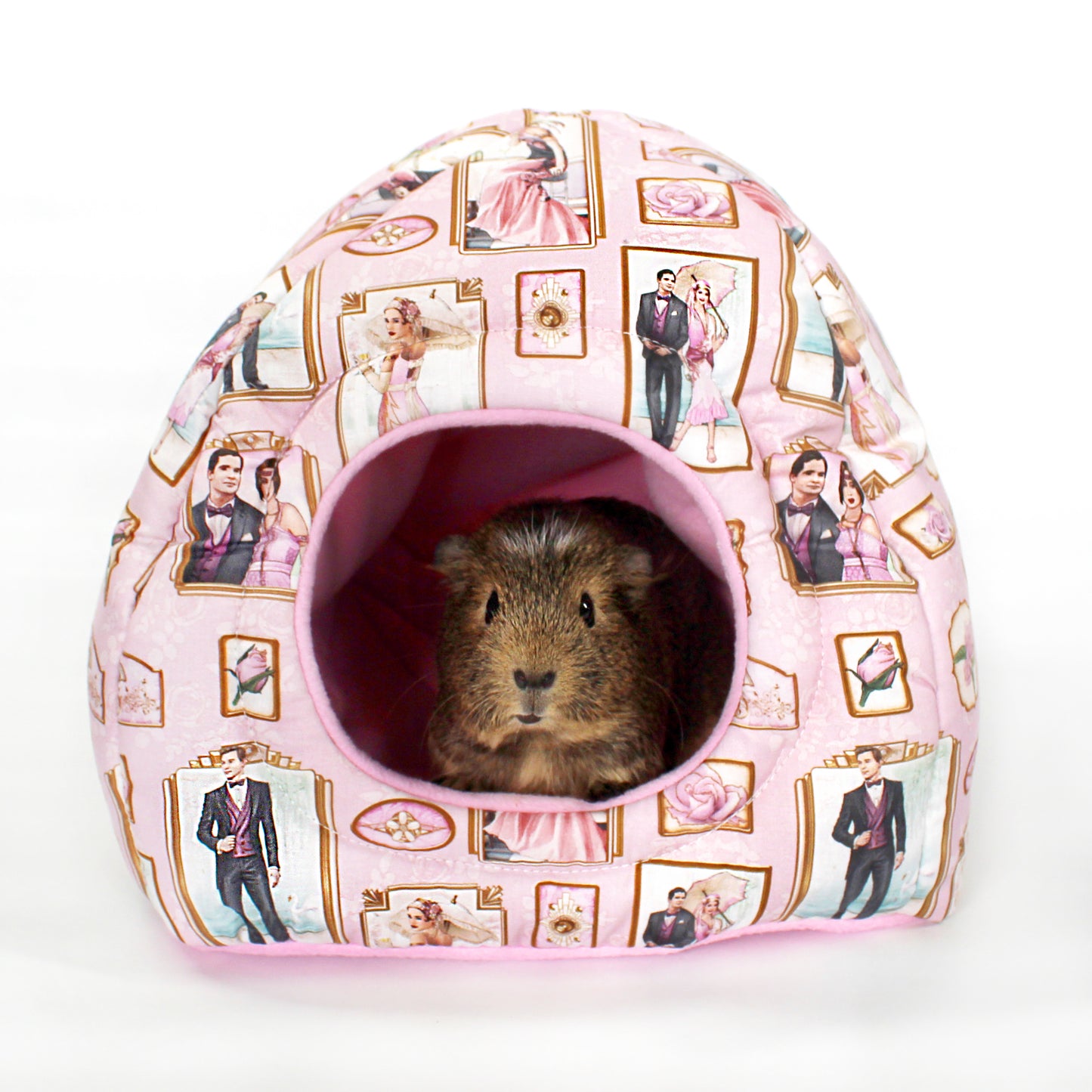 Pink Art Deco Guinea Pig Accessory Bundle