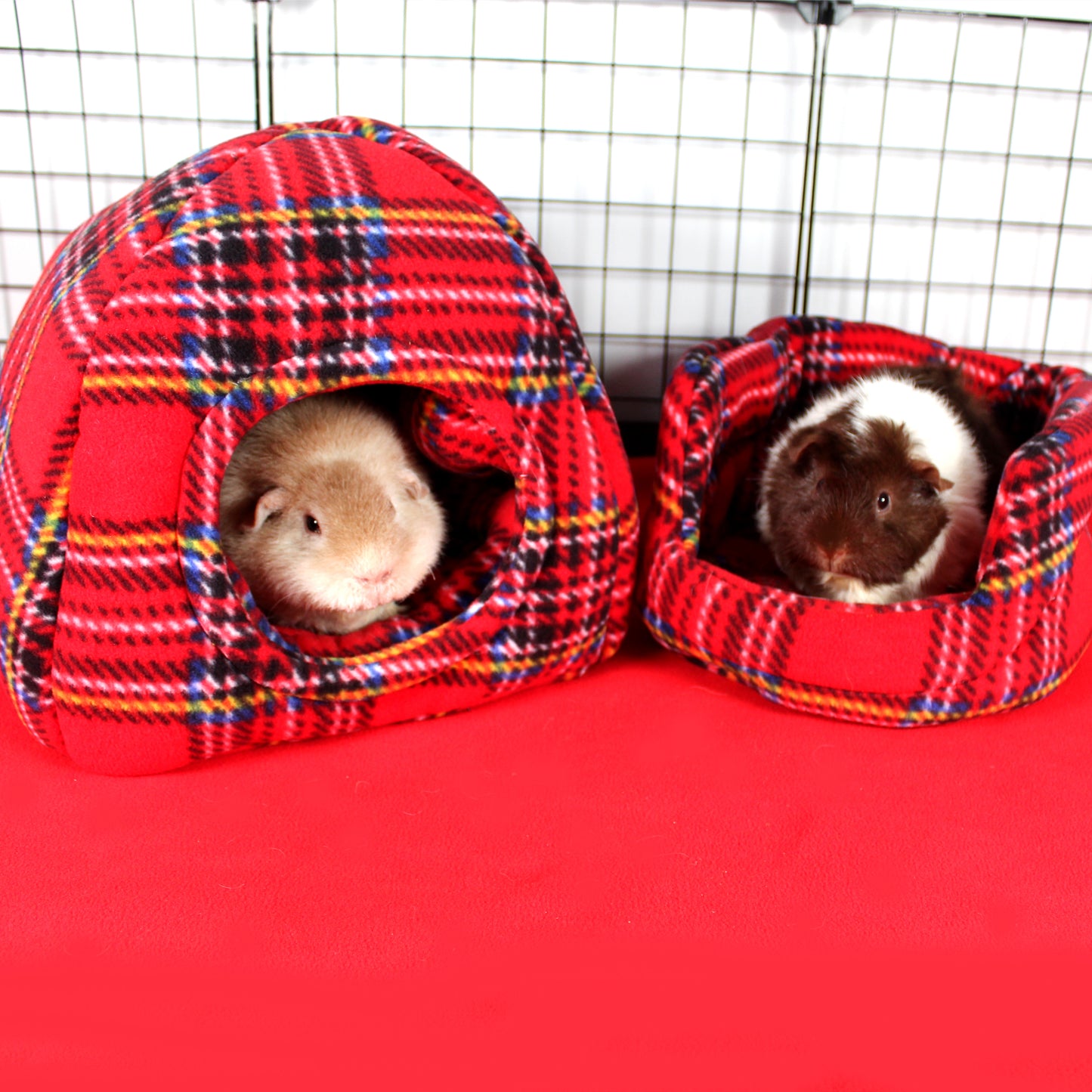 Red Tartan Guinea Pig Accessory Bundle