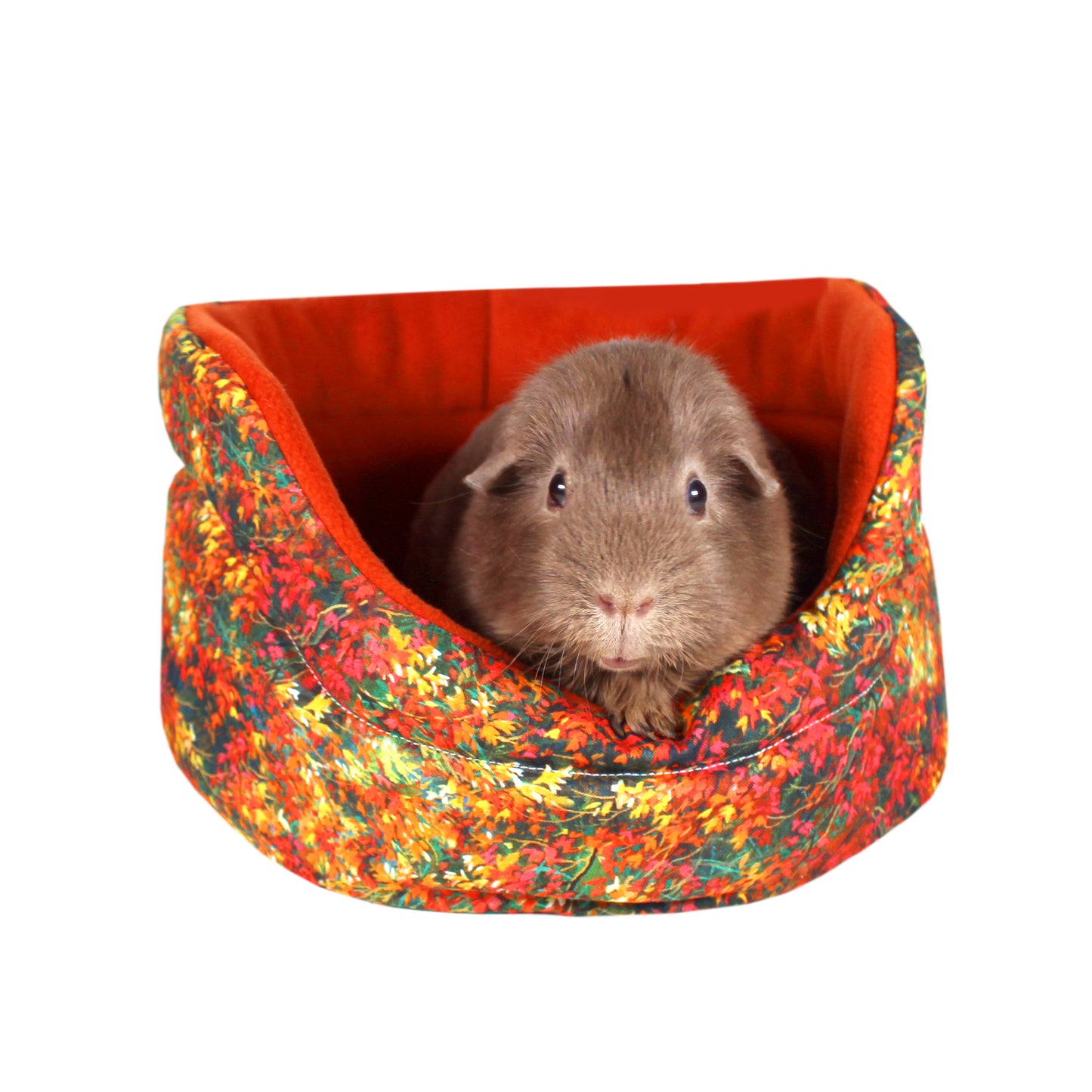 Autumn Leaf Guinea Pig Accessory Bundle