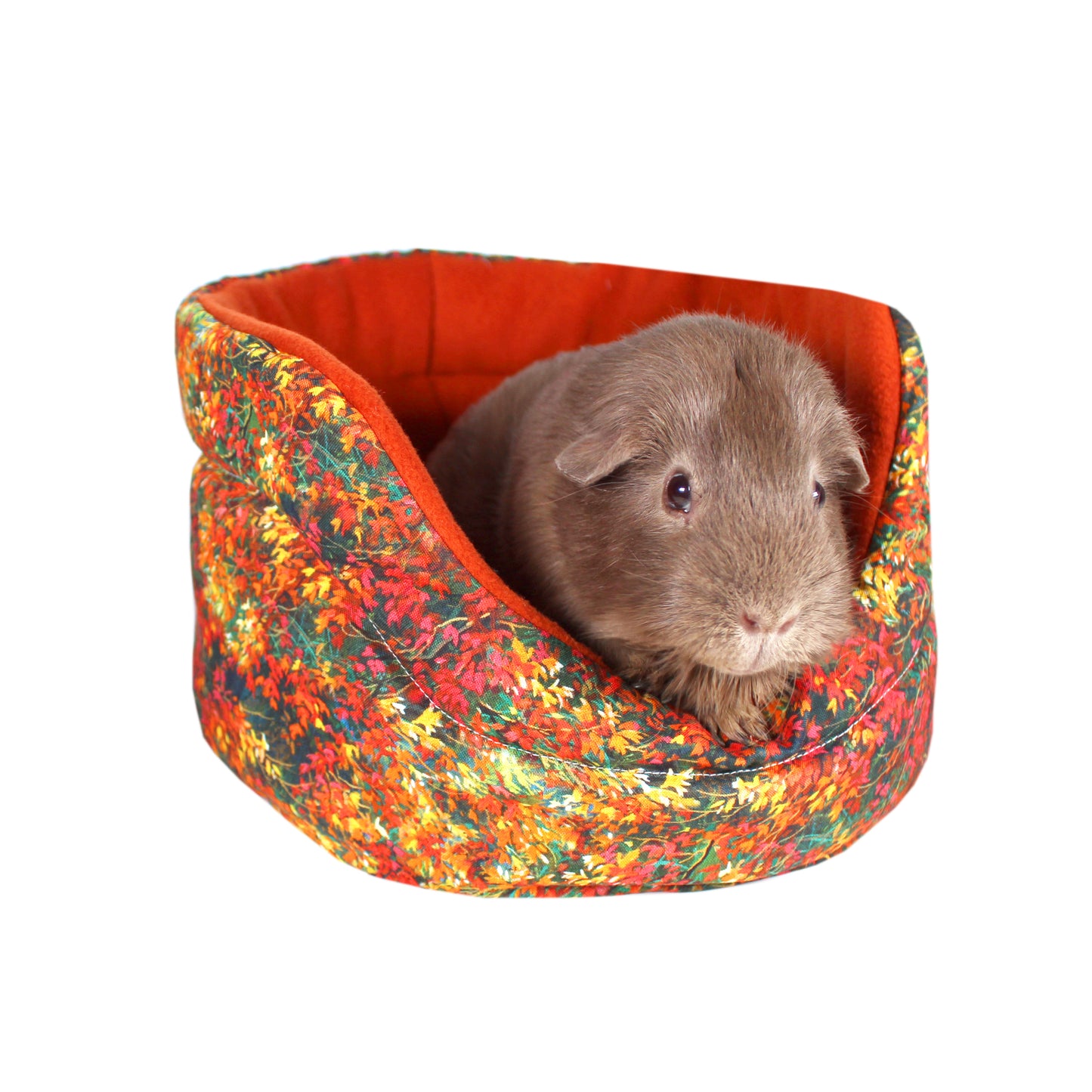 Autumn Leaf Guinea Pig Accessory Bundle