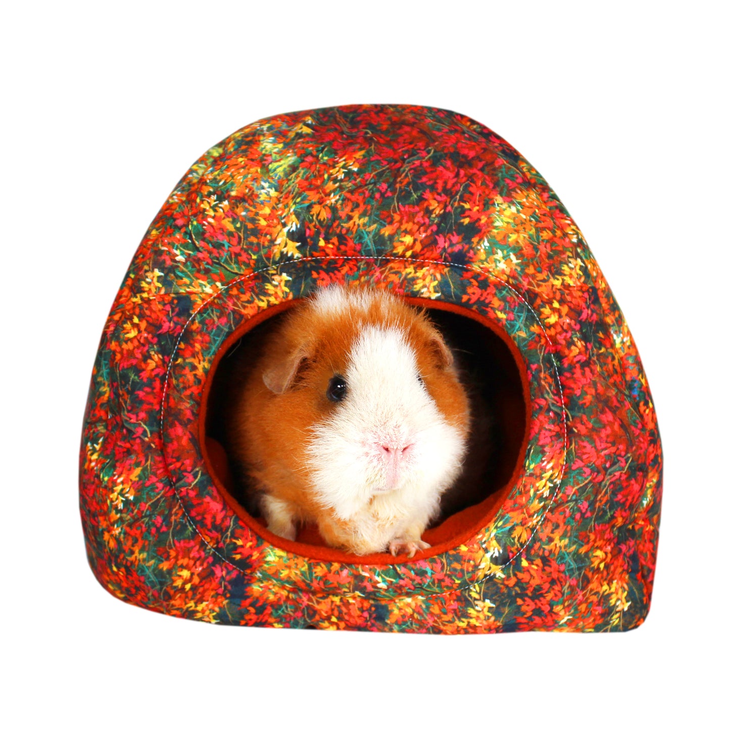 Autumn Leaf Guinea Pig Accessory Bundle