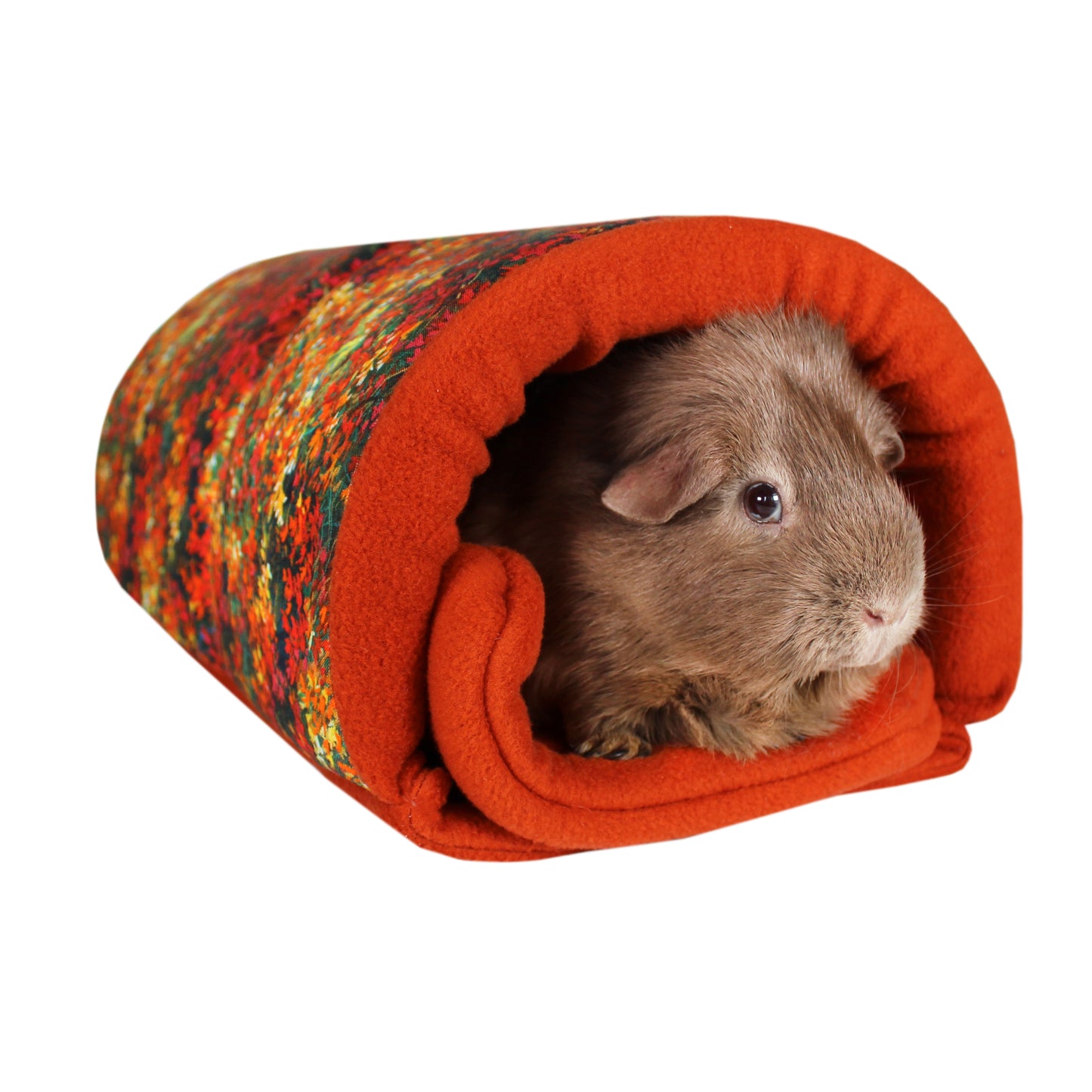 Autumn Leaf Guinea Pig Accessory Bundle