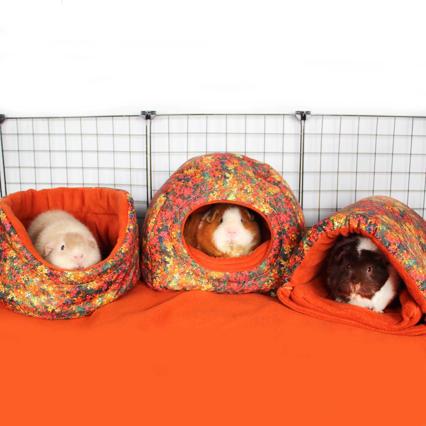Autumn Leaf Guinea Pig Accessory Bundle