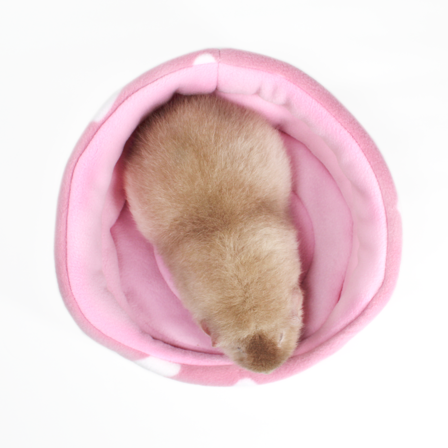 Valentines Day Guinea Pig Accessory Bundle