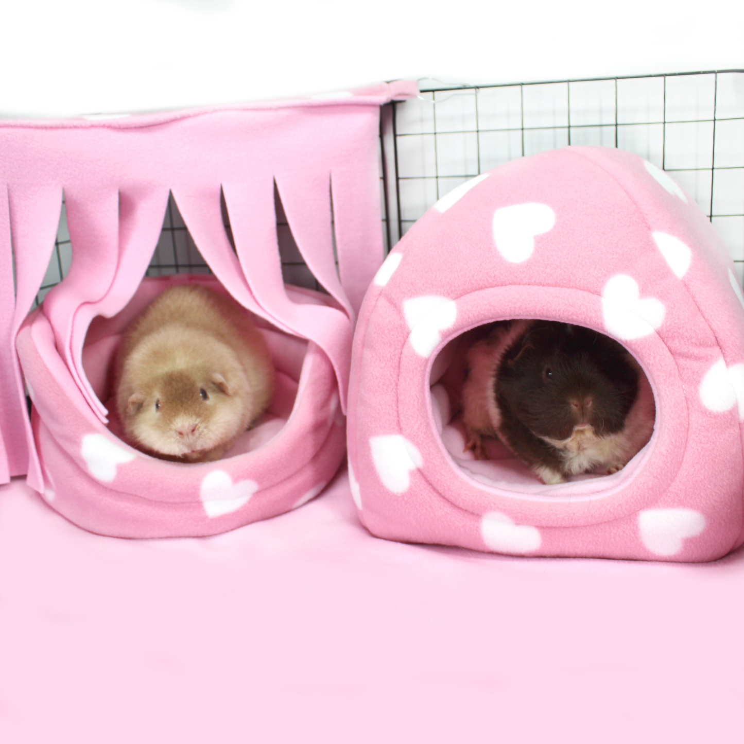 Valentines Day Guinea Pig Hidey House