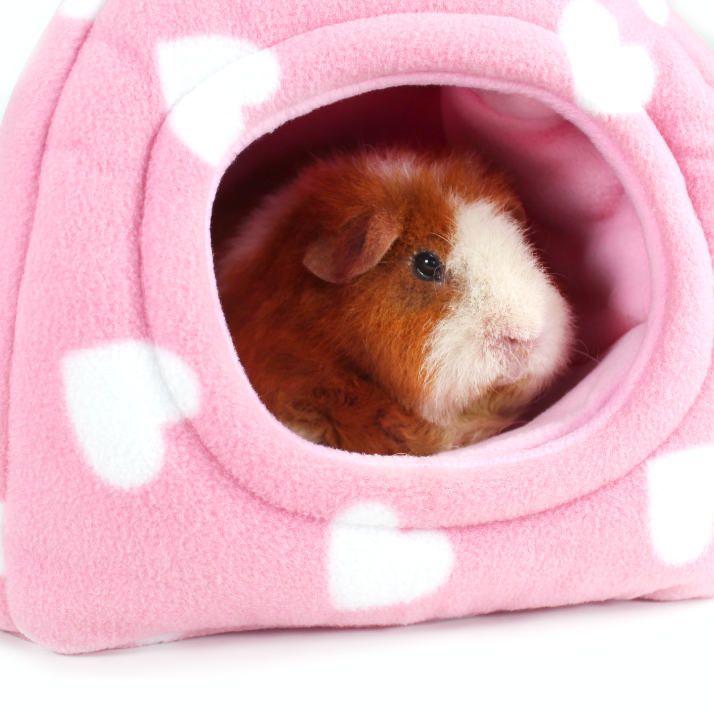 Valentines Day Guinea Pig Accessory Bundle