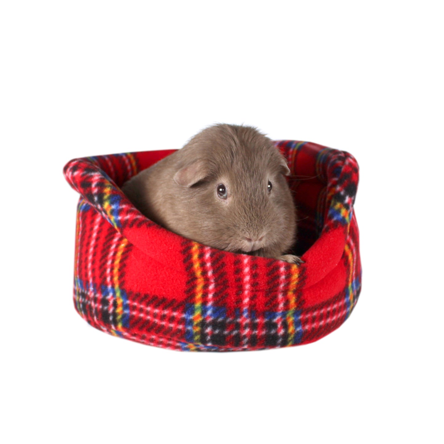 Red Tartan Guinea Pig Accessory Bundle