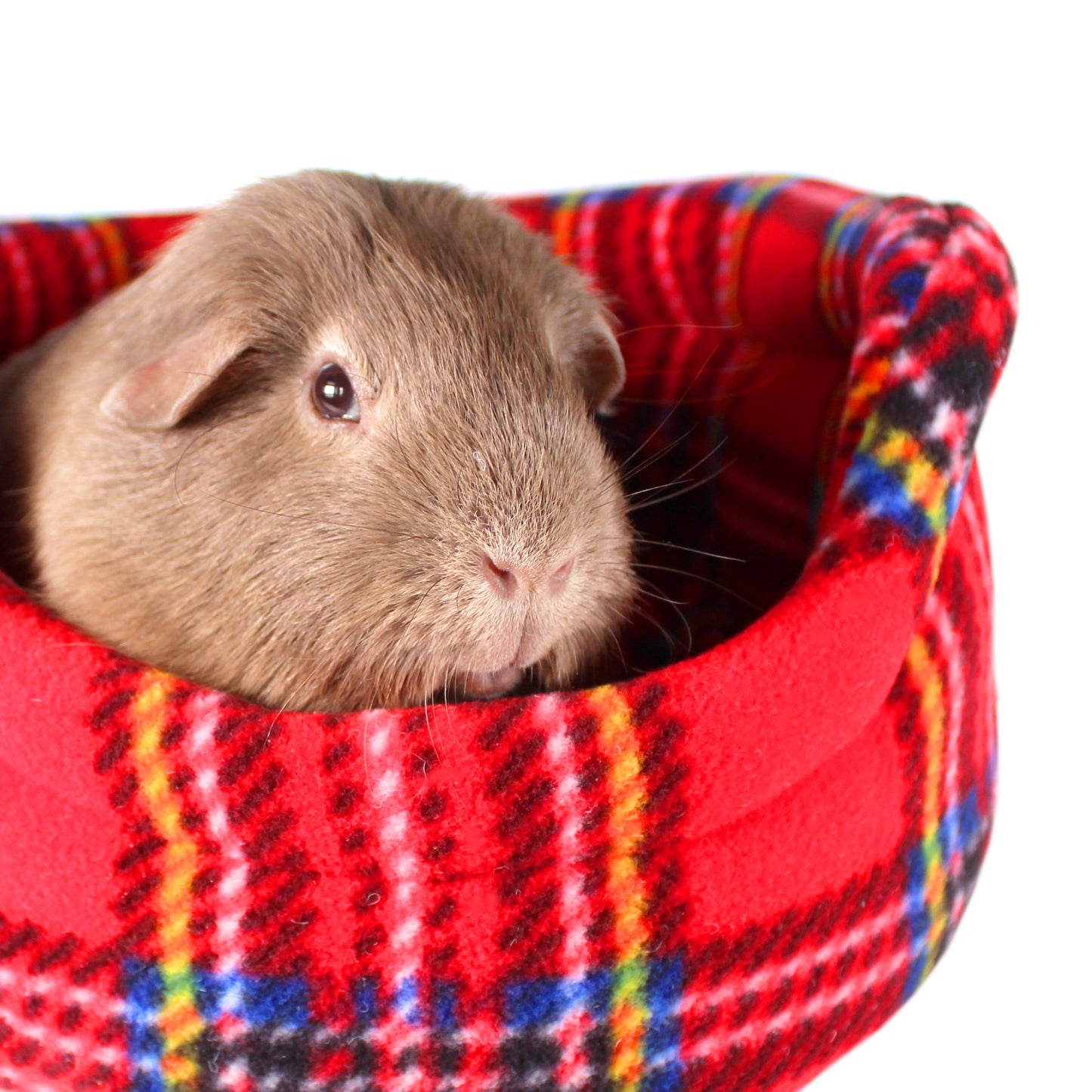Red Tartan Guinea Pig Accessory Bundle