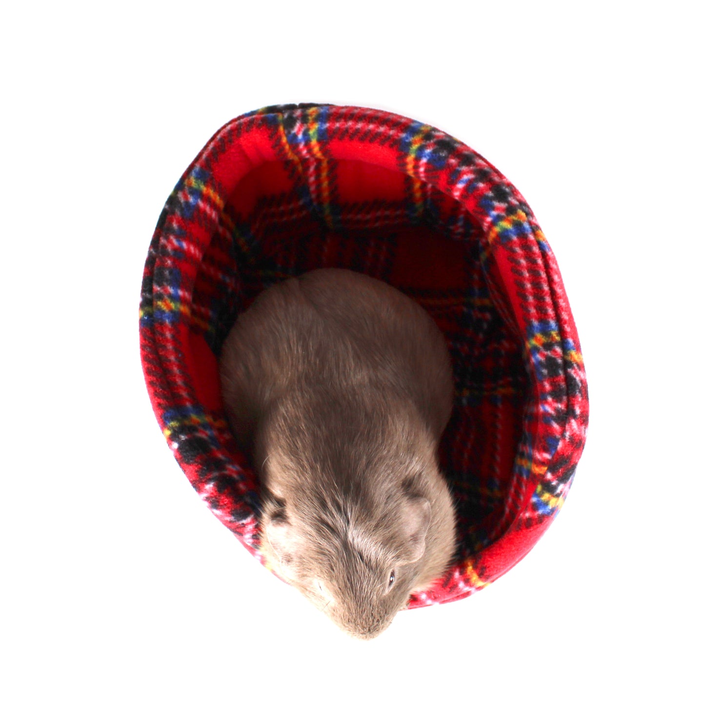 Red Tartan Guinea Pig Accessory Bundle