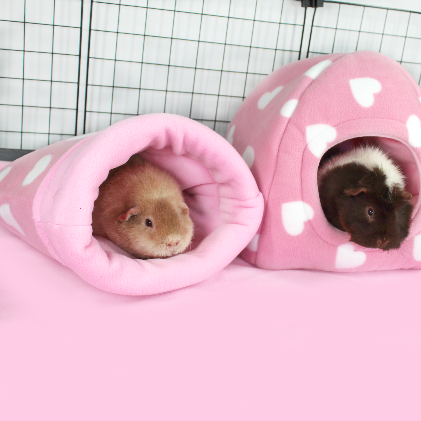 Valentines Day Guinea Pig Hidey House