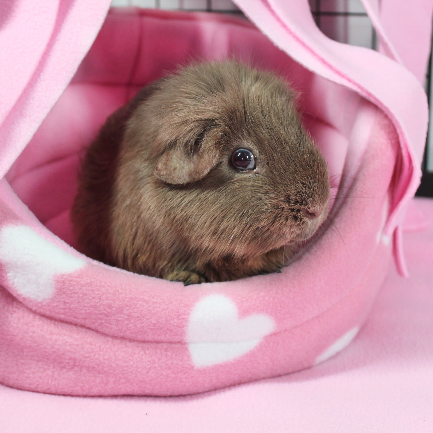 Valentine's Day Cuddle Cup Bed