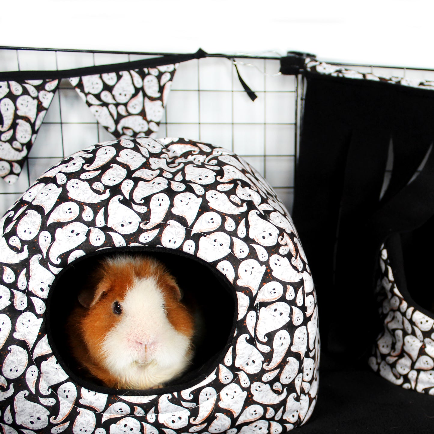 Ghost Halloween Hidey House, Happy guinea inside the hideout inside a themed cage