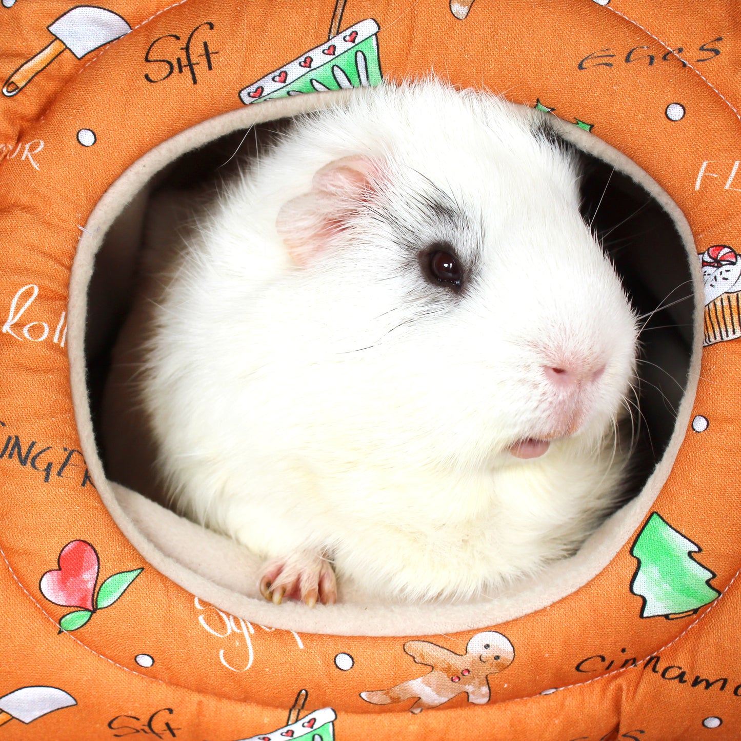 Gingerbread Guinea Pig Hidey Hut, close up view of the opening with guinea pig