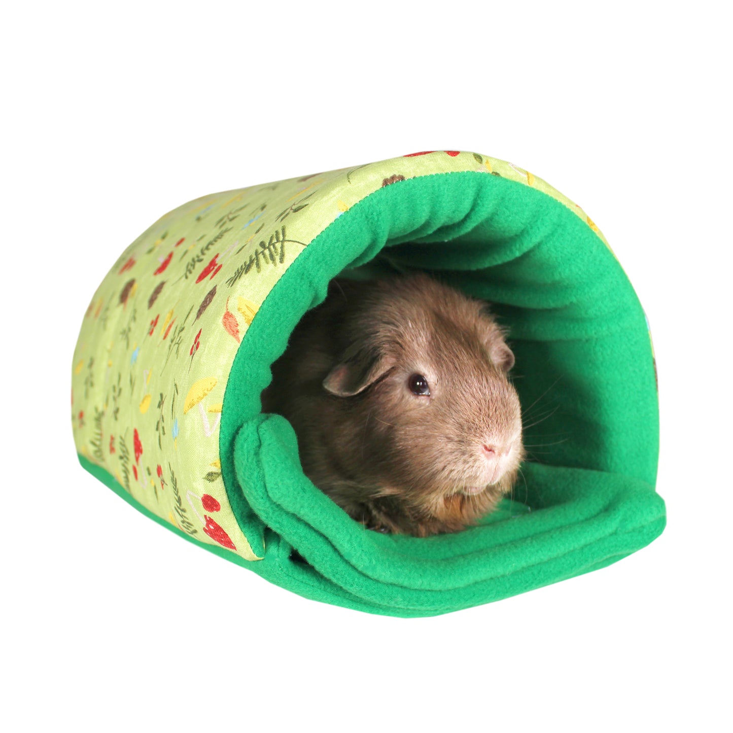 Green Mushroom Guinea Pig Accessory Set