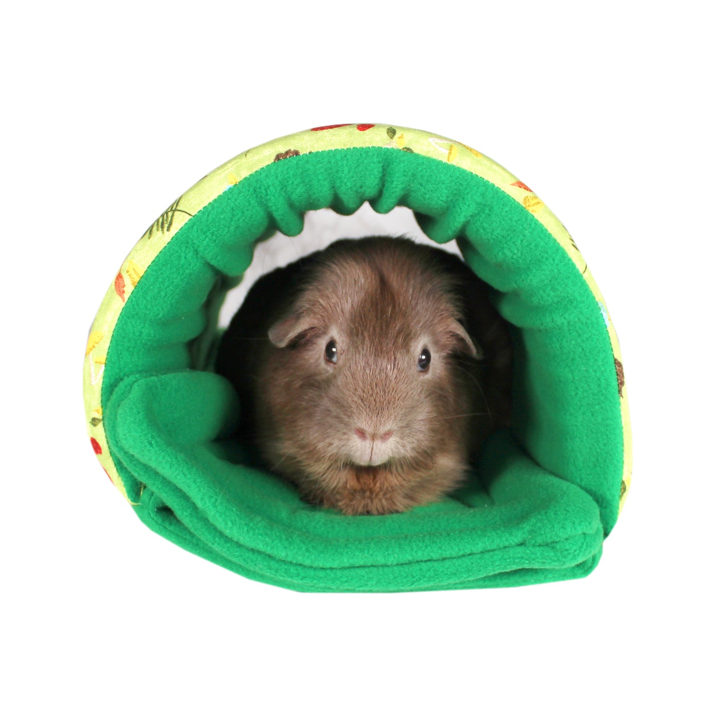 Green Mushroom Guinea Pig Accessory Set