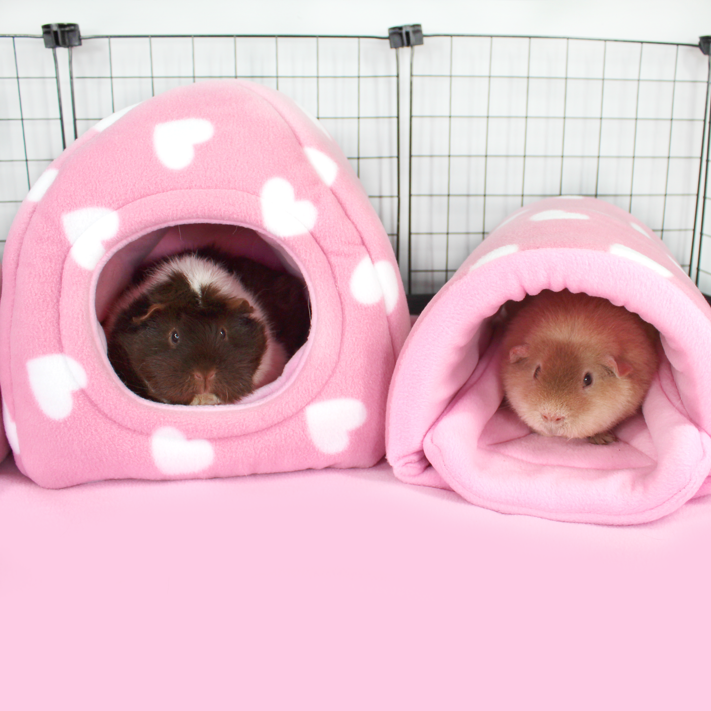 Valentines Day Squish Tunnel