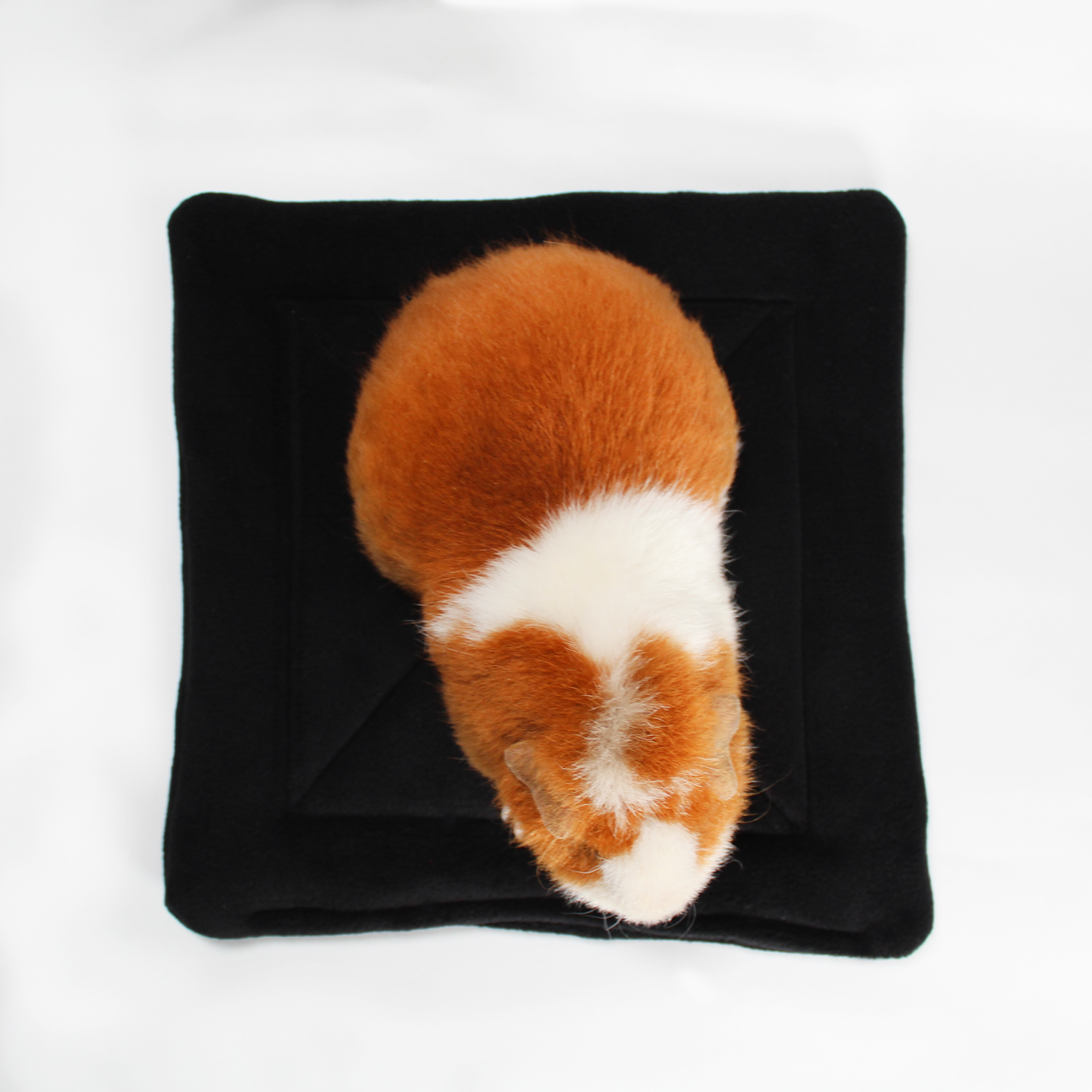 Large Black Square Guinea Pig Pee Pad, top view of the large pee pad for guinea pigs