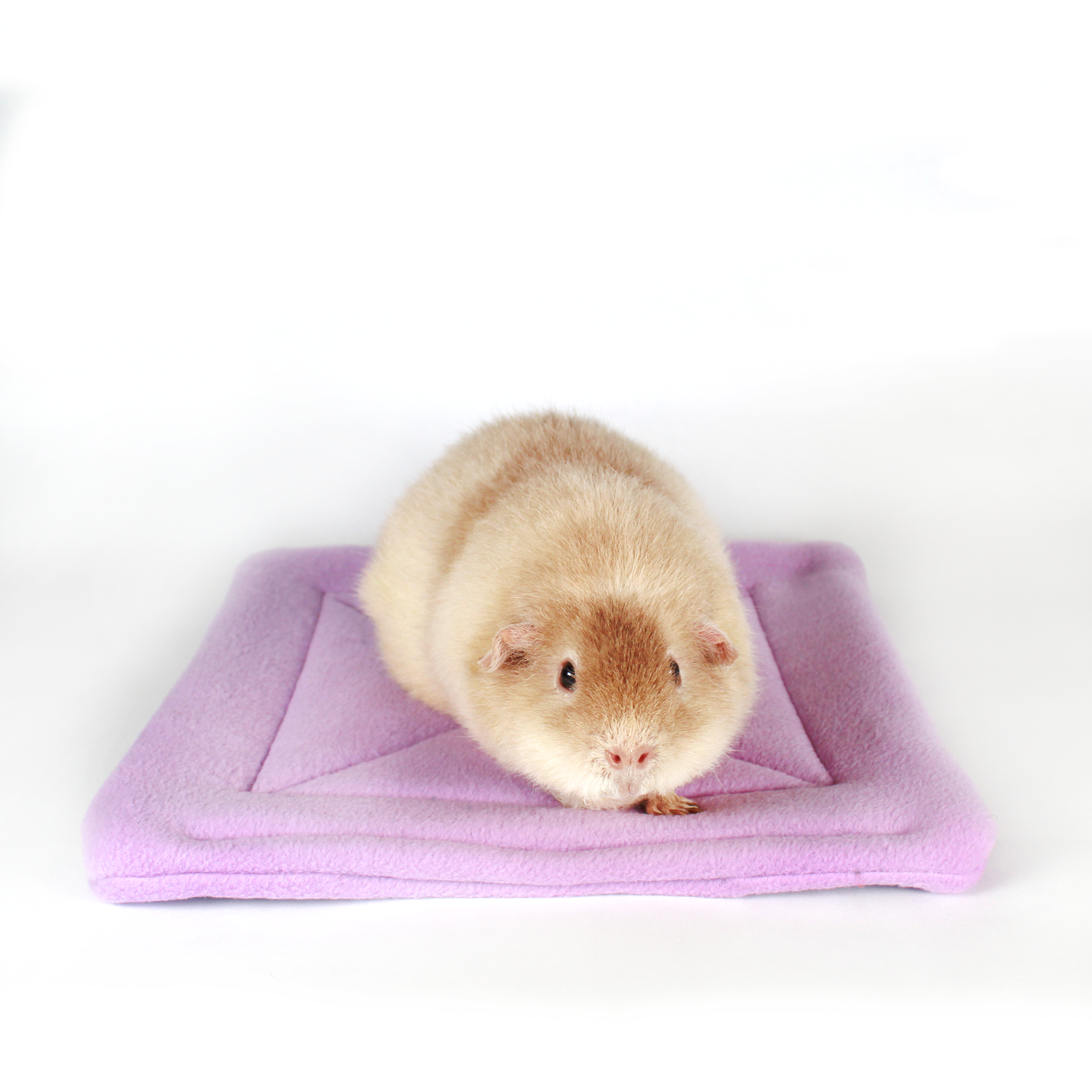Large Lilac Square Pee Pad for Guinea Pigs, front view of the pee pad with a happy guinea pig on top