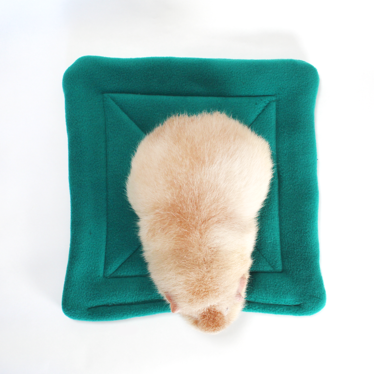 Large Square Teal Guinea Pig Pee Pad, top view of the wee wee pad with a guinea pig on top for sizing