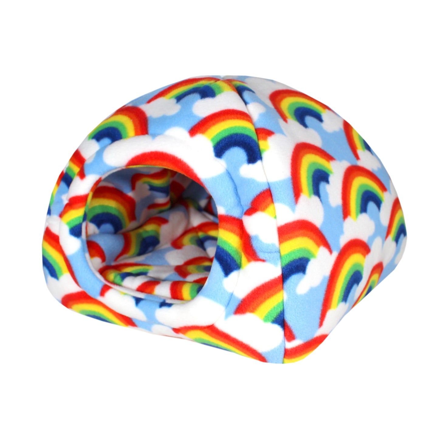 Rainbow Guinea Pig Accessory Bundle