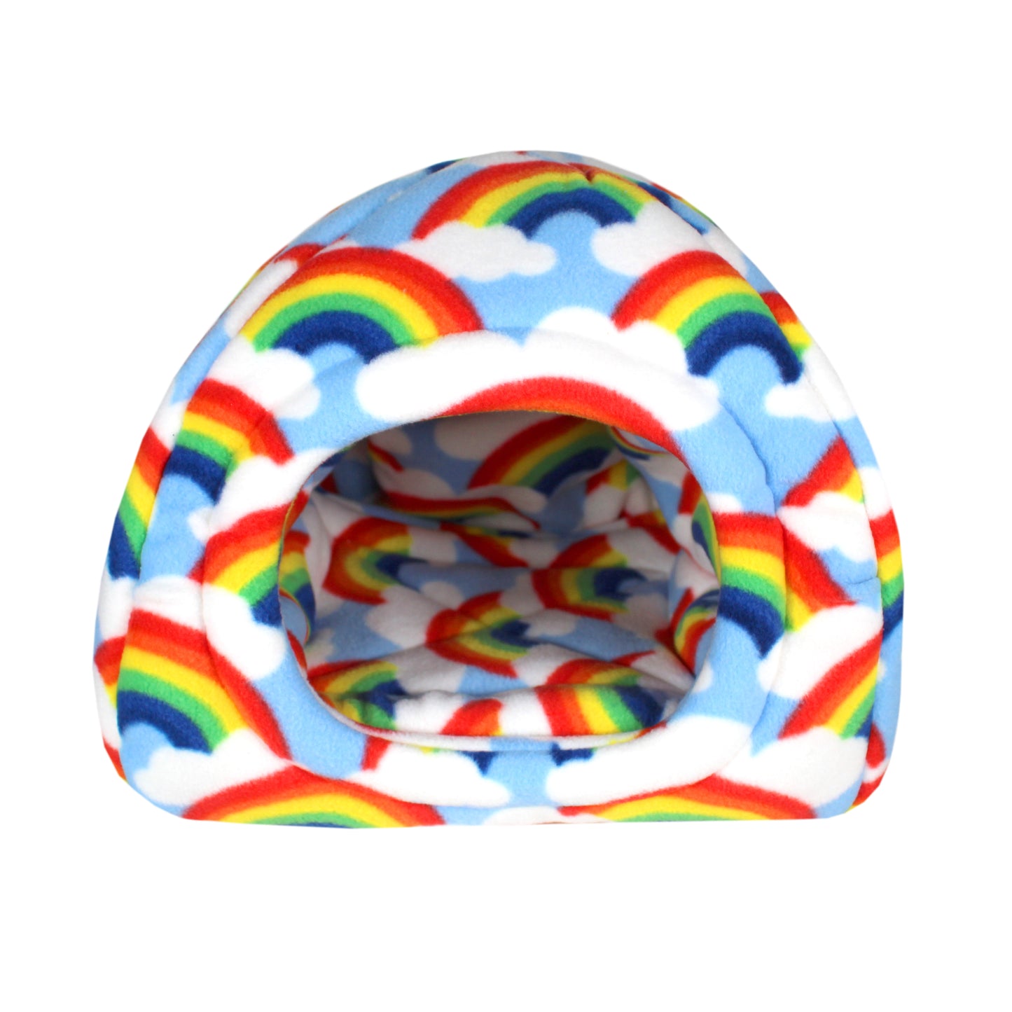 Rainbow Guinea Pig Accessory Bundle