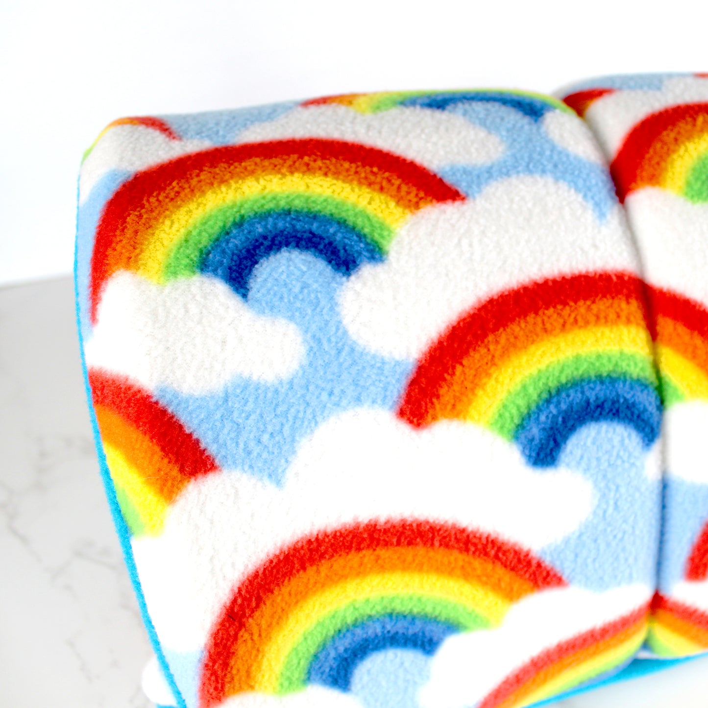 Rainbow Guinea Pig Accessory Bundle