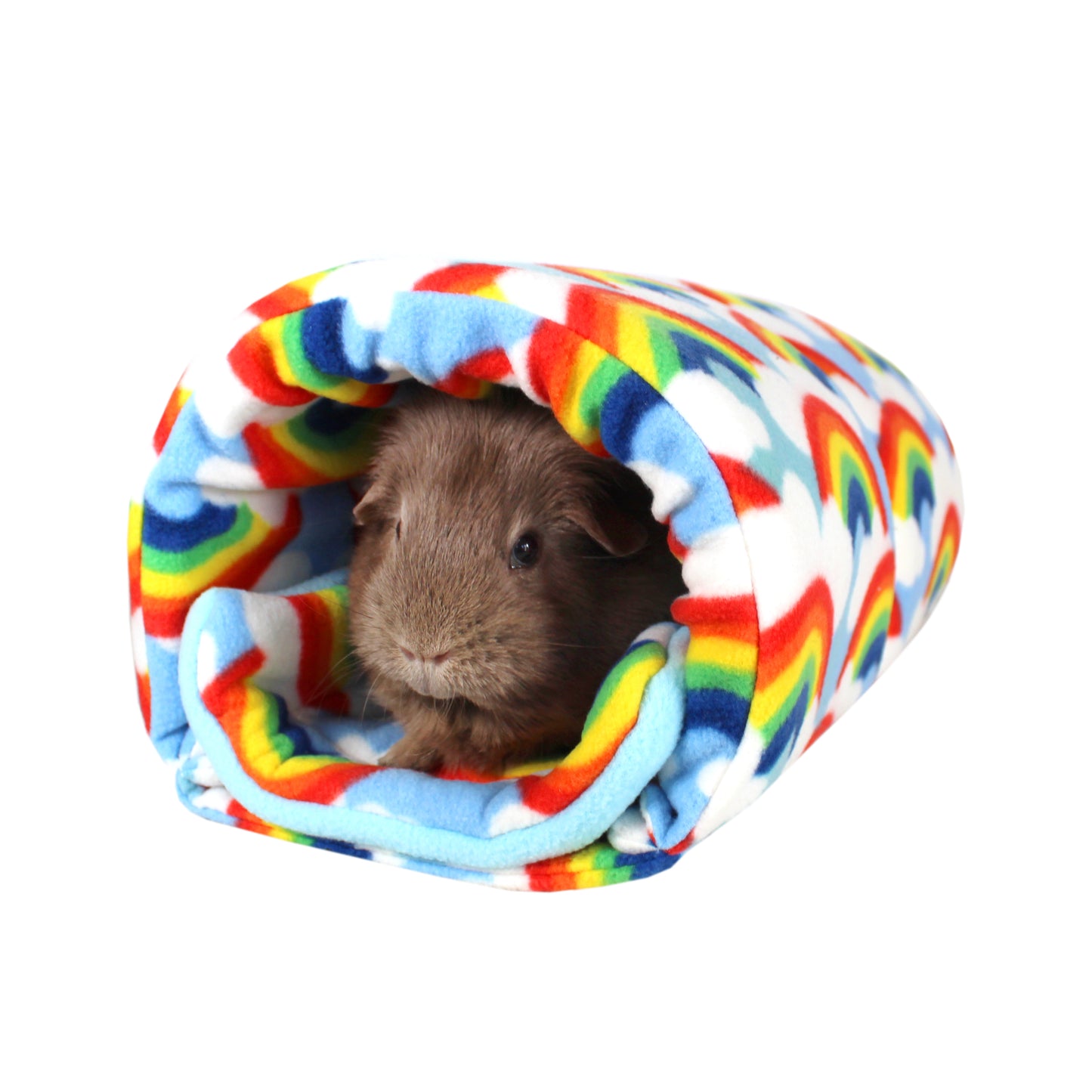 Rainbow Guinea Pig Accessory Bundle