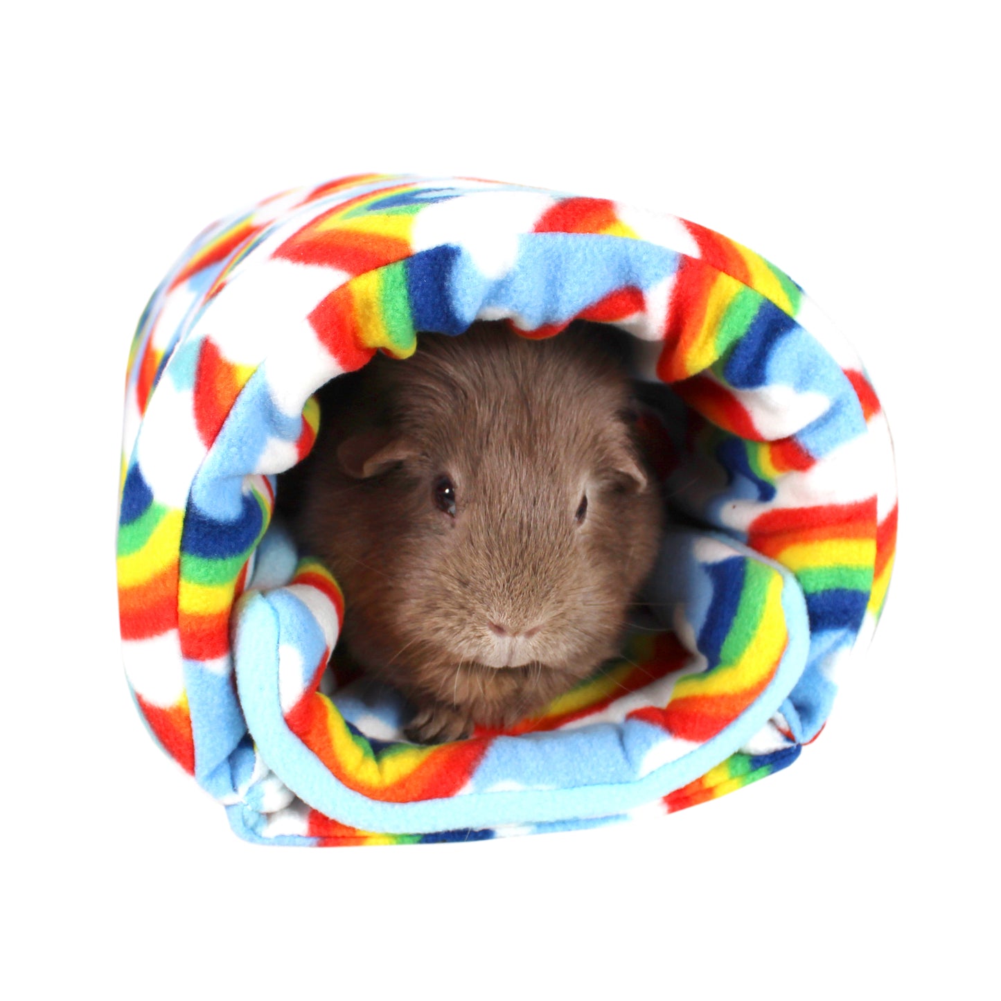 Rainbow Guinea Pig Accessory Bundle
