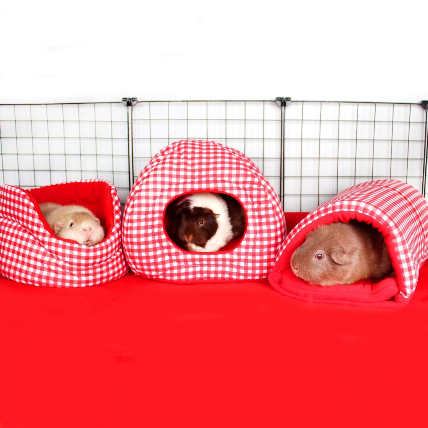 Red Gingham Guinea Pig Accessory Set