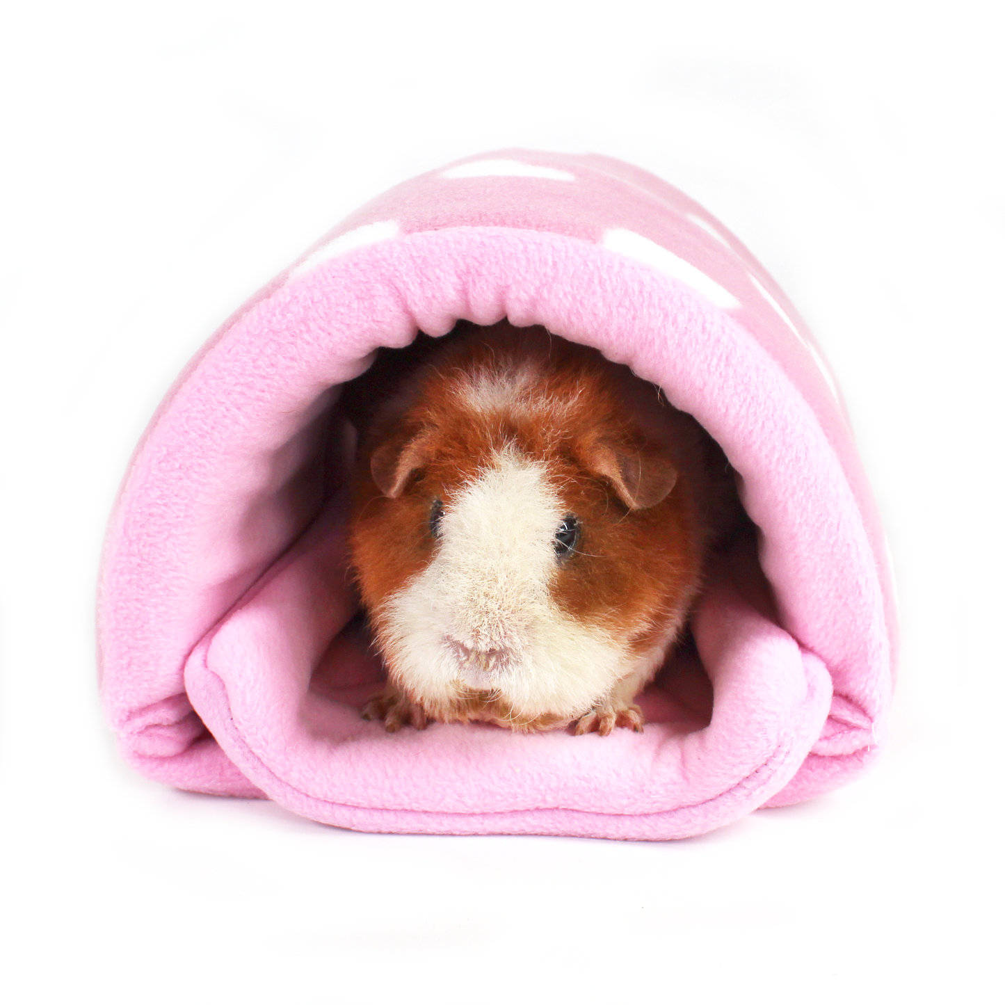 Valentines Day Guinea Pig Accessory Bundle