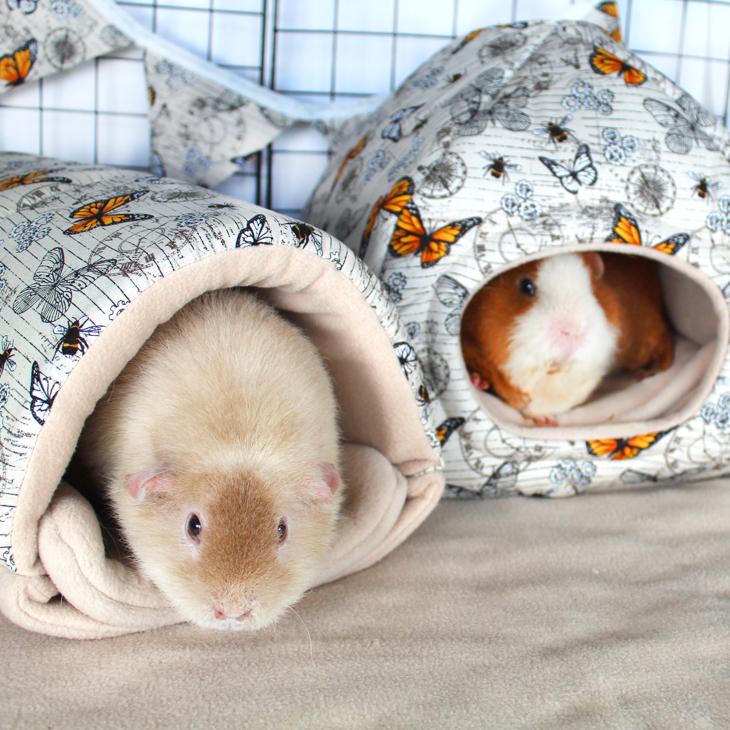 Steampunk Butterfly Hidey House, showng guinea pigs using the hidey hut and a macthing guinea pig bed inside a cage