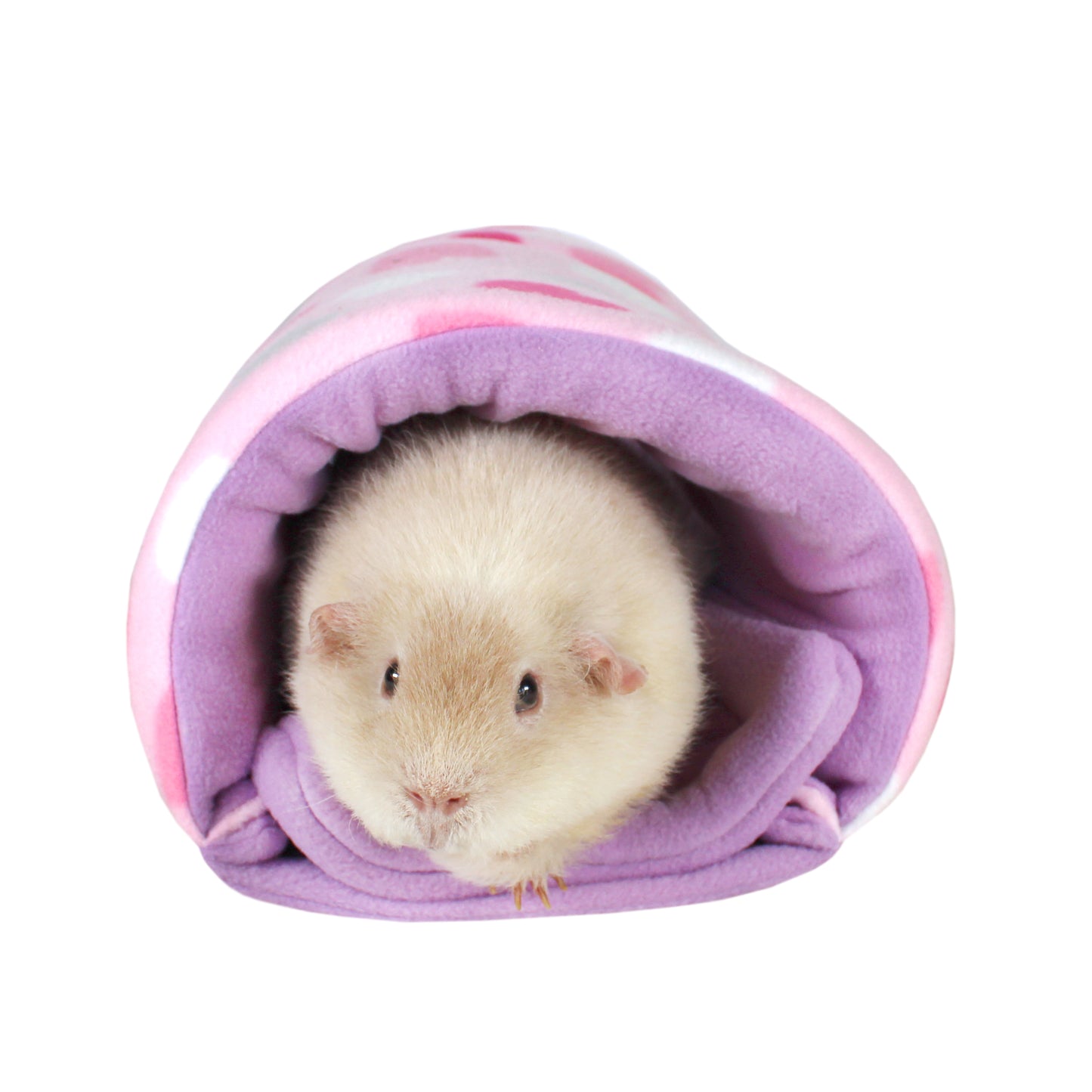 Pastel Hearts Guinea Pig Squish Tunnel
