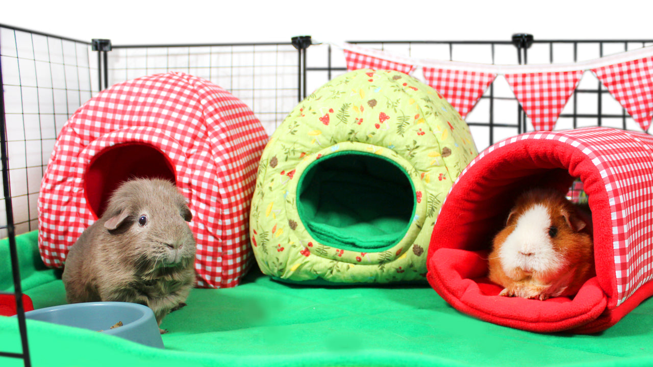 Red Gingham Guinea Pig Accessory Set, image showing how the accessories for guinea pigs can be used in a cage to make an attractive theme