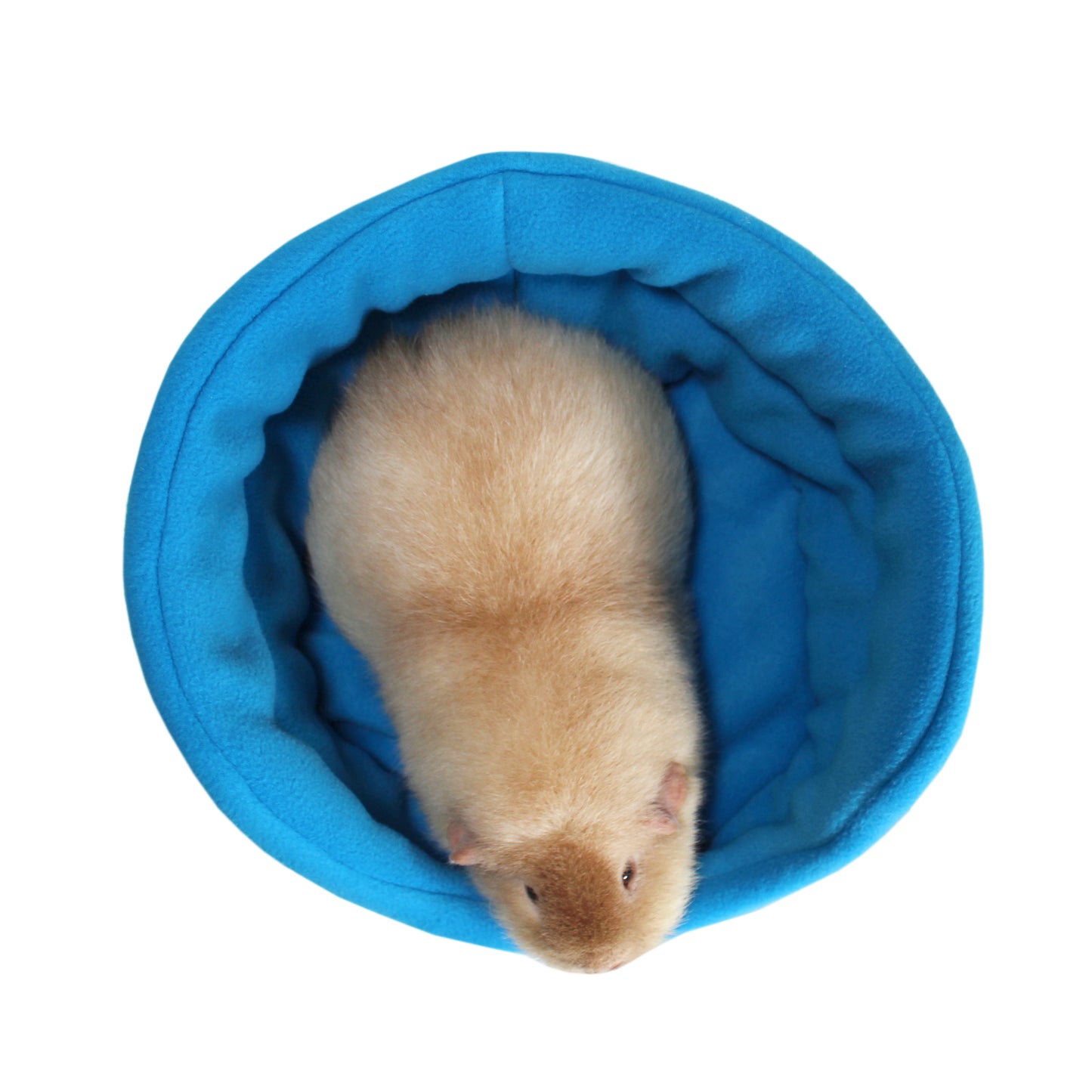 Rich Blue Guinea Pig Bed, over the top view of the guinea pig cuddle cup with a guinea pig inside