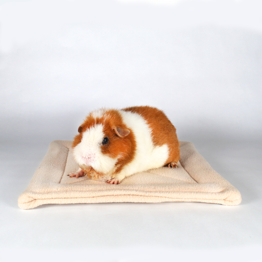 Large Beige Square Guinea Pig Pee Pad with a happy guinea pig sat on top