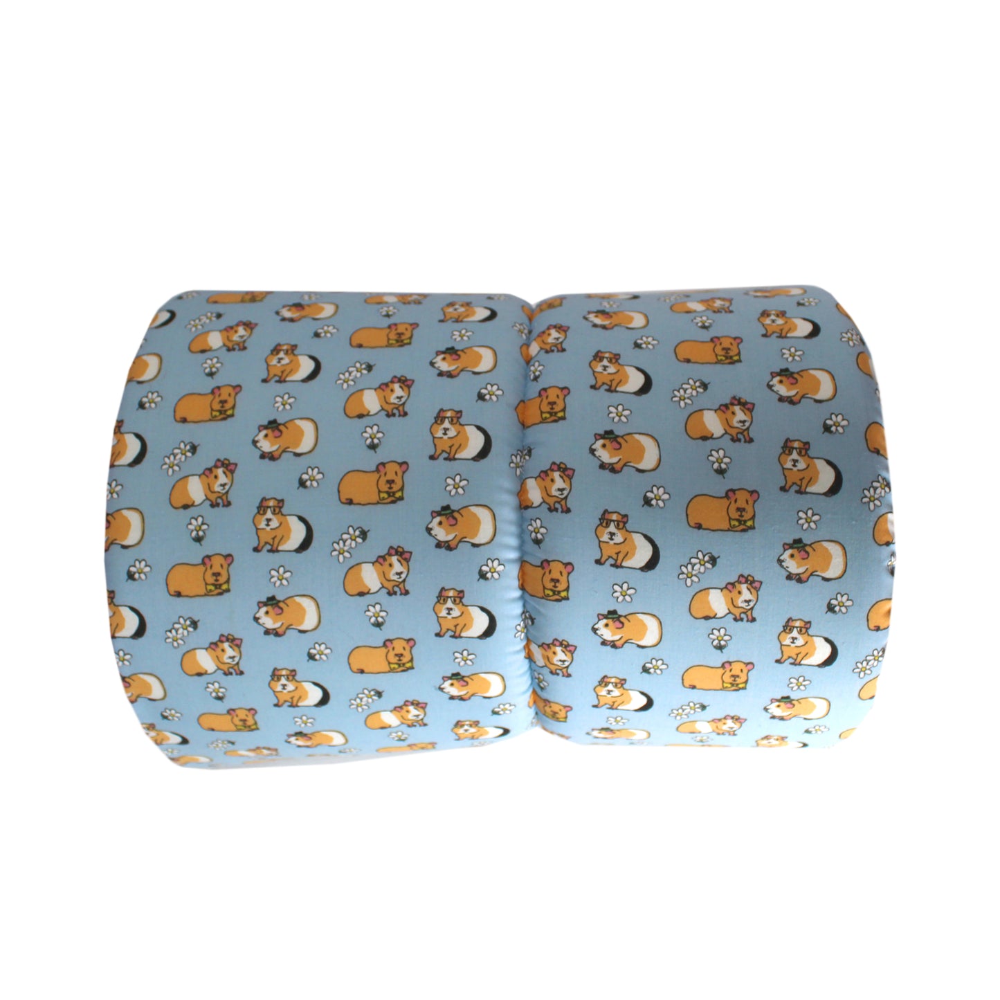 Light Blue Guinea Pig Pattern Snuggle Tunnel, top view empty