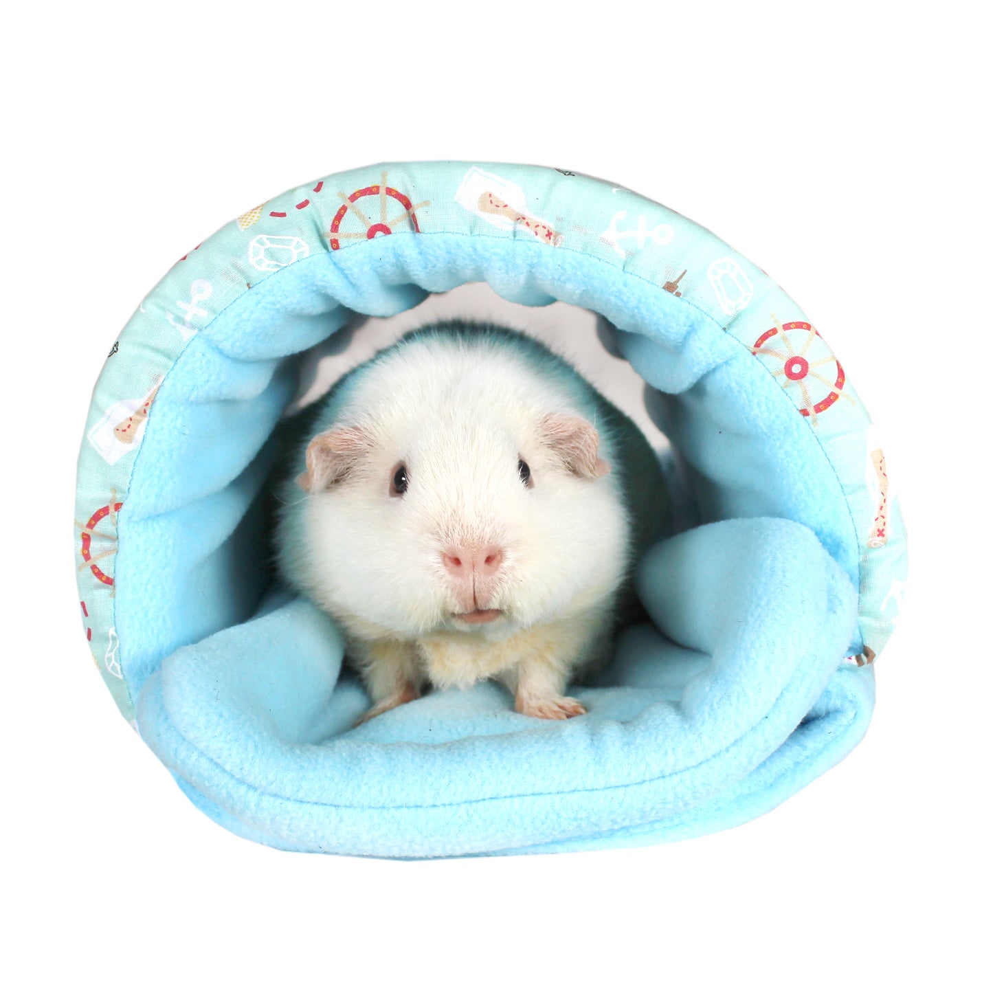 Blue Pirate Guinea Pig Squish Tunnel, front view with guinea pig