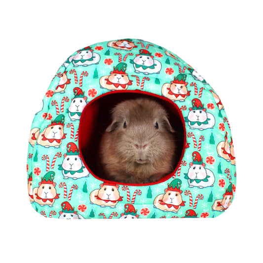 Festive Guinea Pig Design Hidey House for Guinea Pigs, front view with guinea pig
