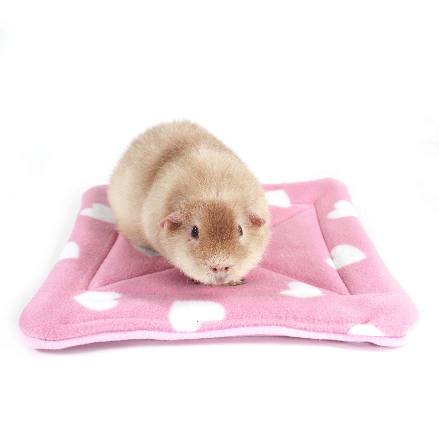 Valentines Day Large Square Pee Pad for Guinea Pigs