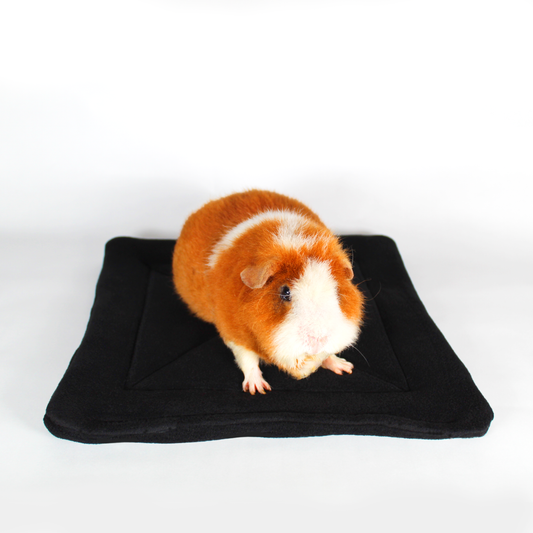 Large Black Square Guinea Pig Pee Pad, front view with a happy guinea pig sat on top