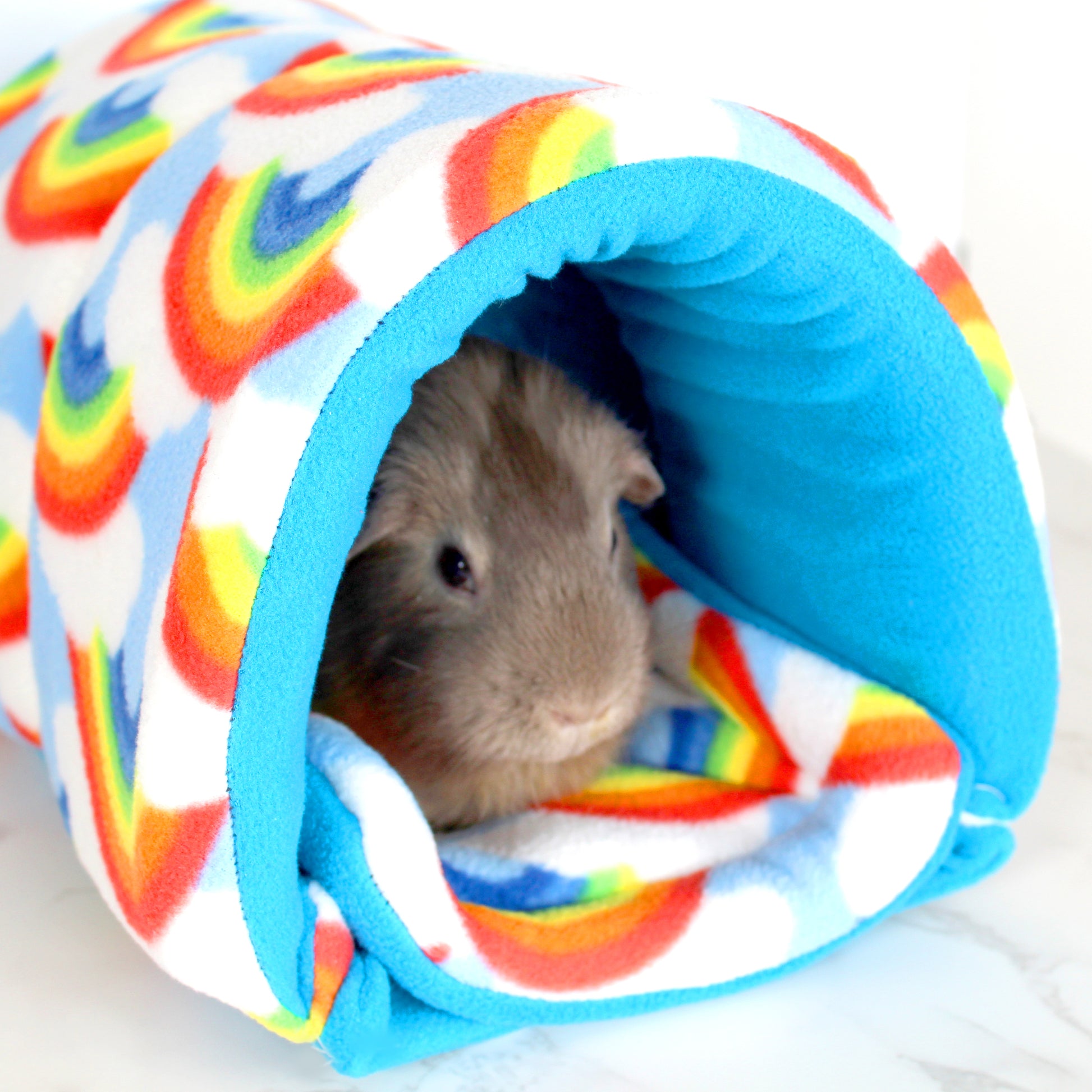 Rainbow Guinea Pig Squish Tunnel, close up front side view with guinea pig